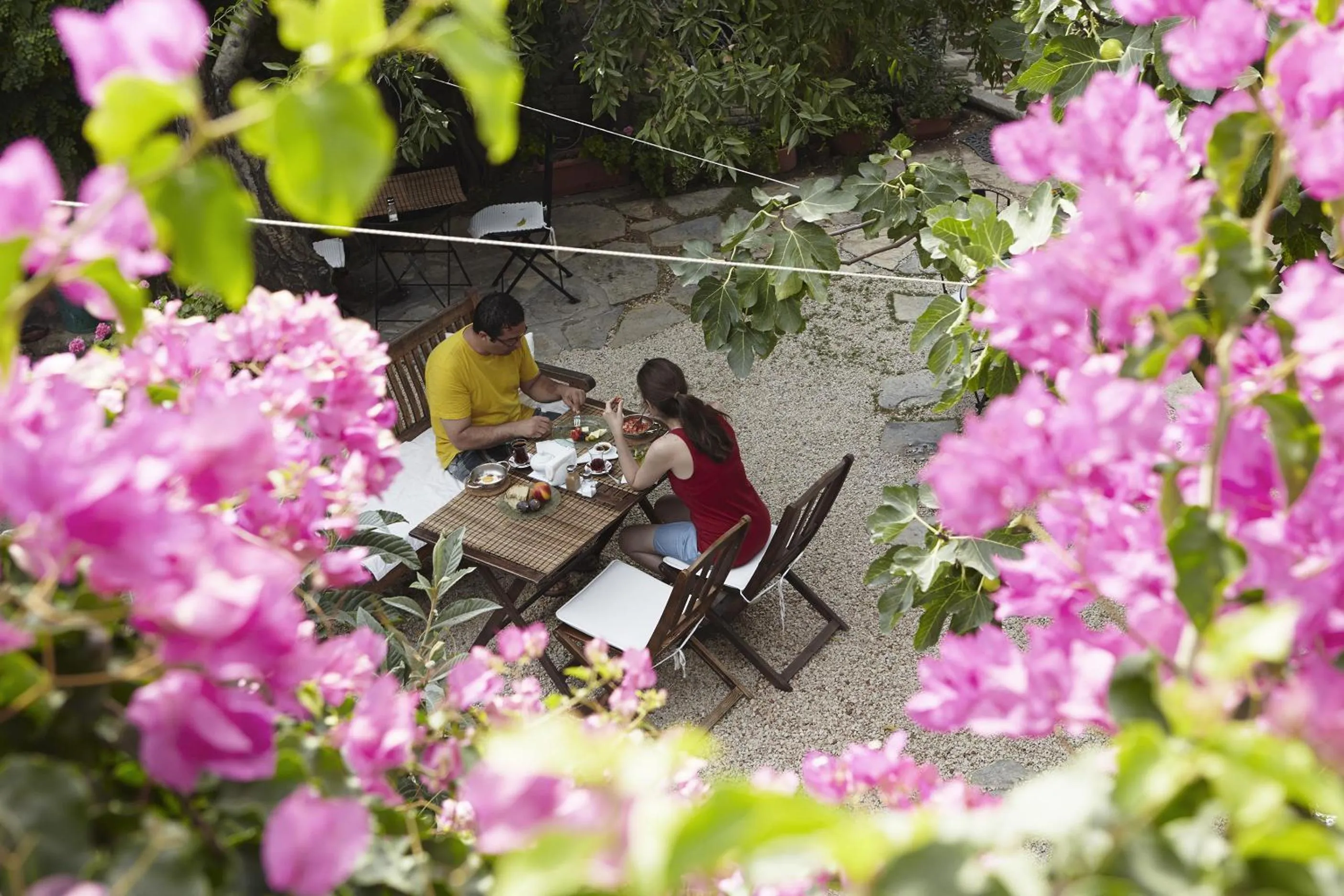 Garden in Incirliev - Special Category