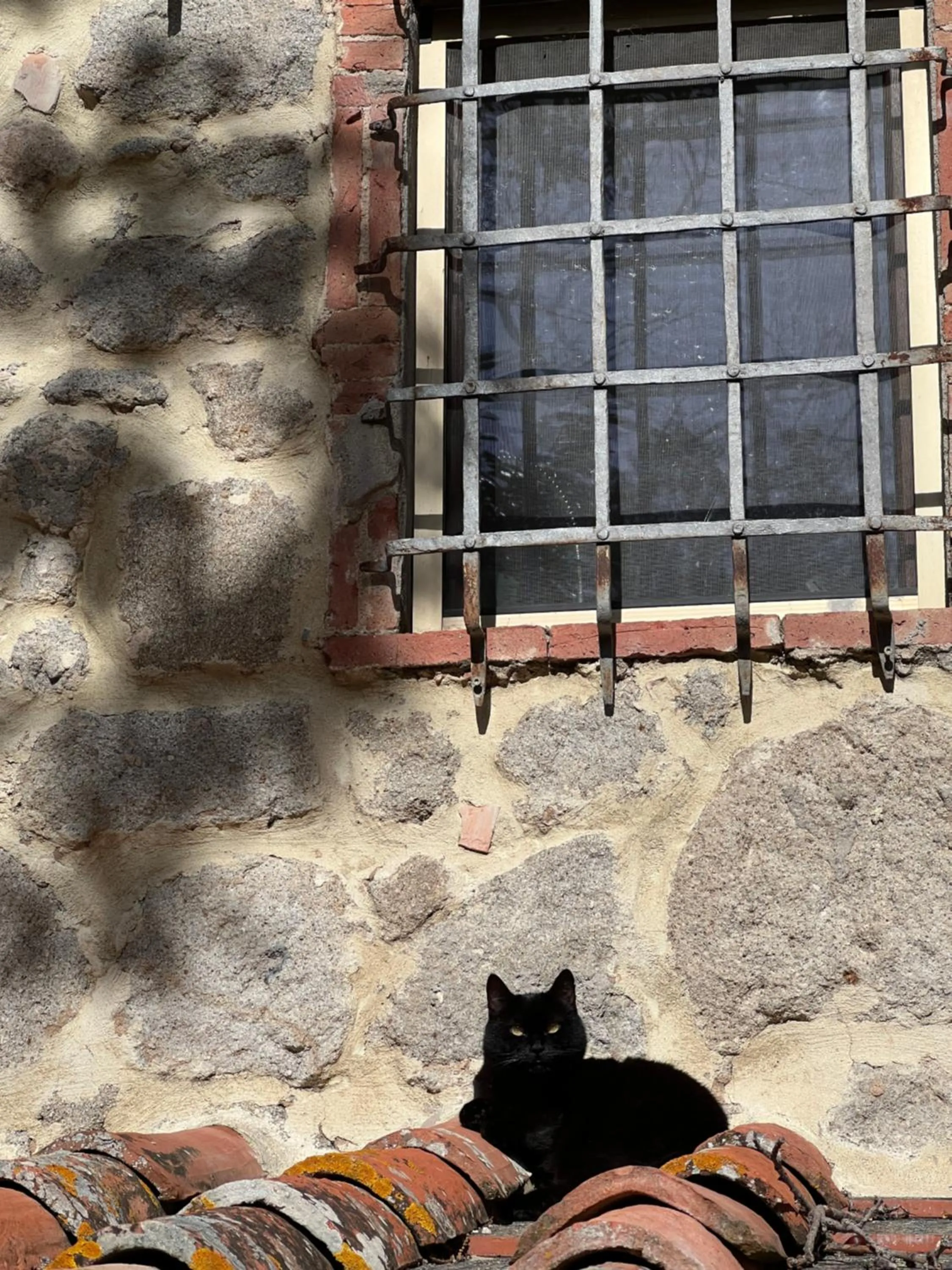 B&B Podere Legnotorto