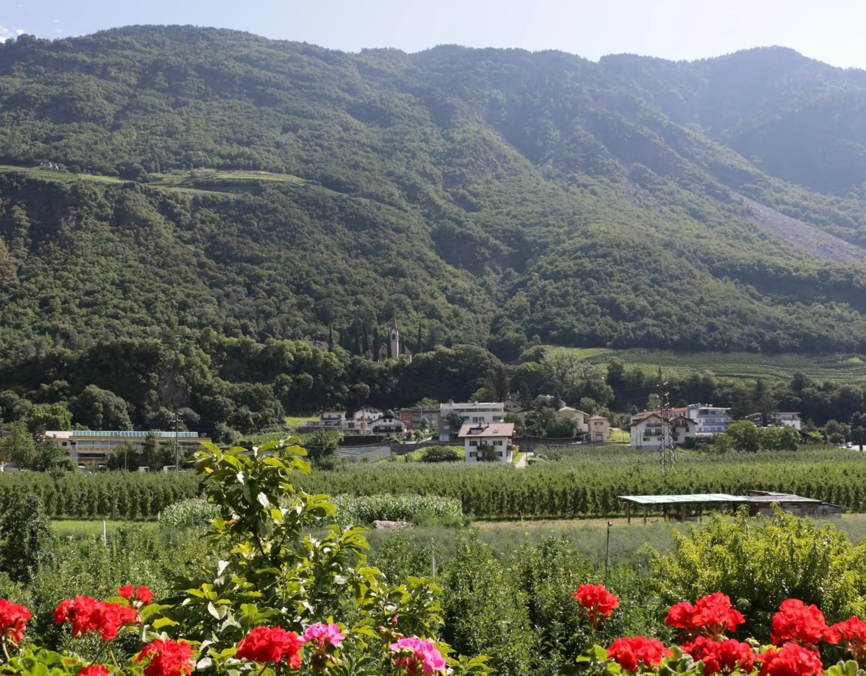 Double Room in Gruberhof Double Room in Gruberhof