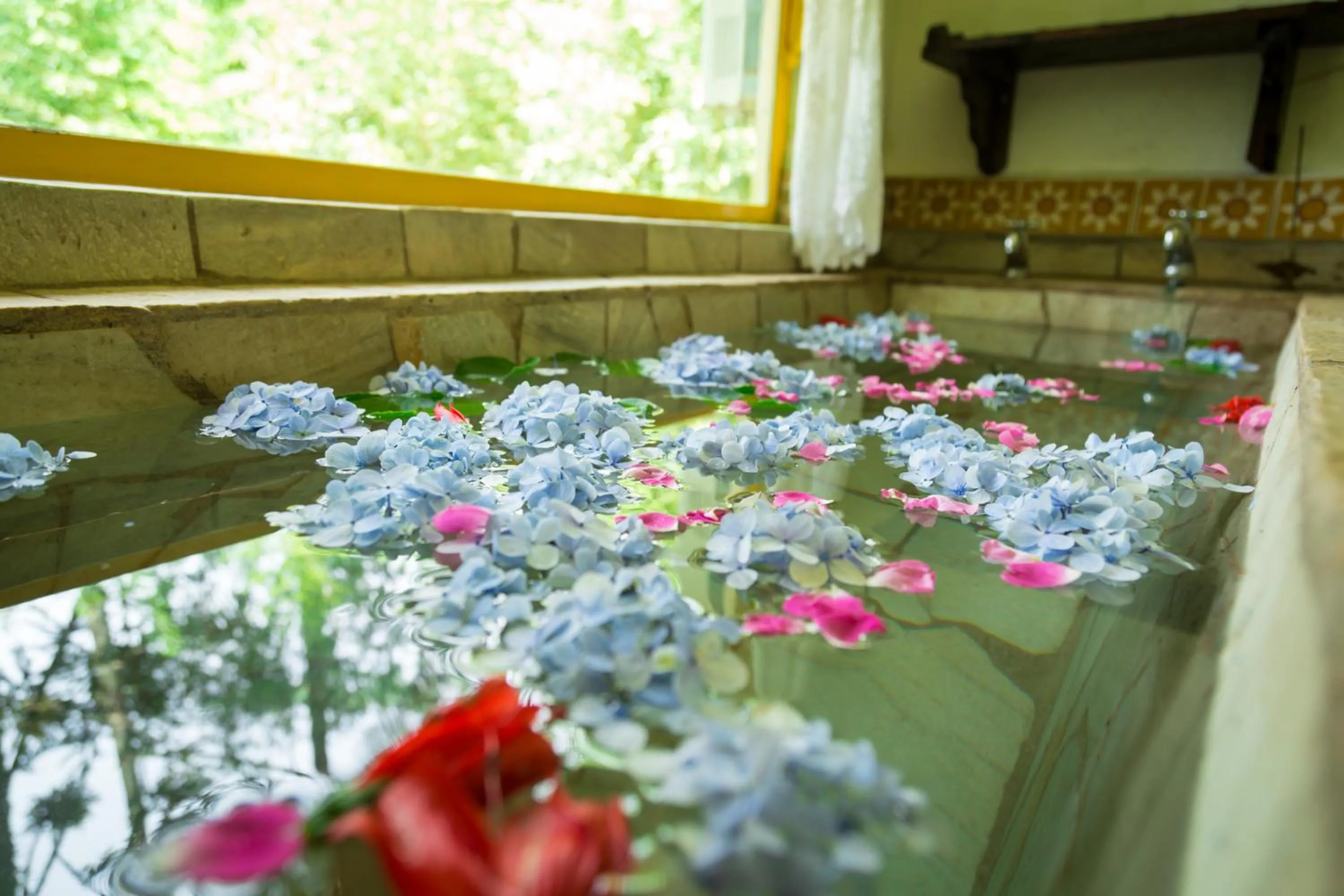 Pousada Trem das Cores