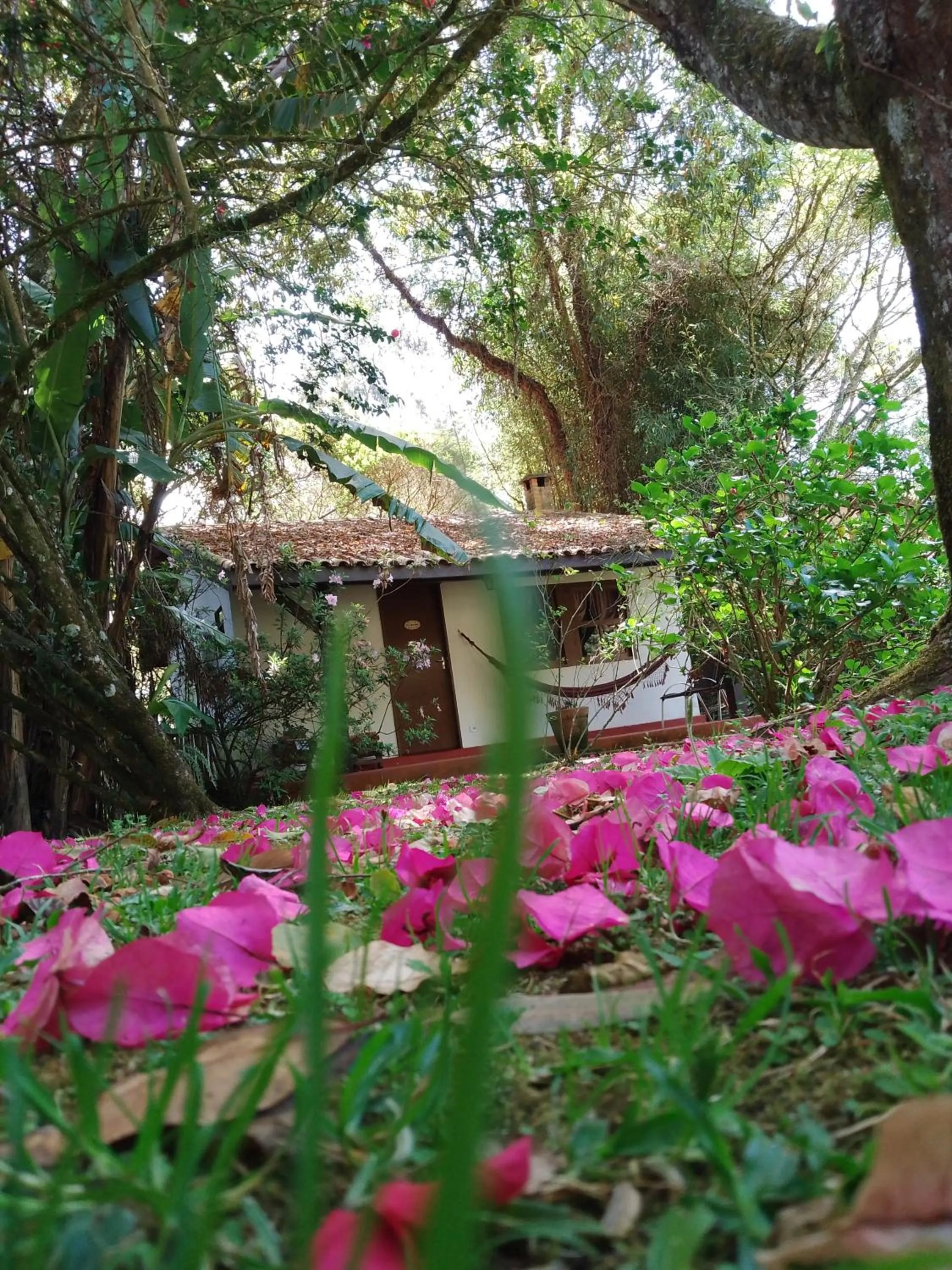 Pousada Trem das Cores