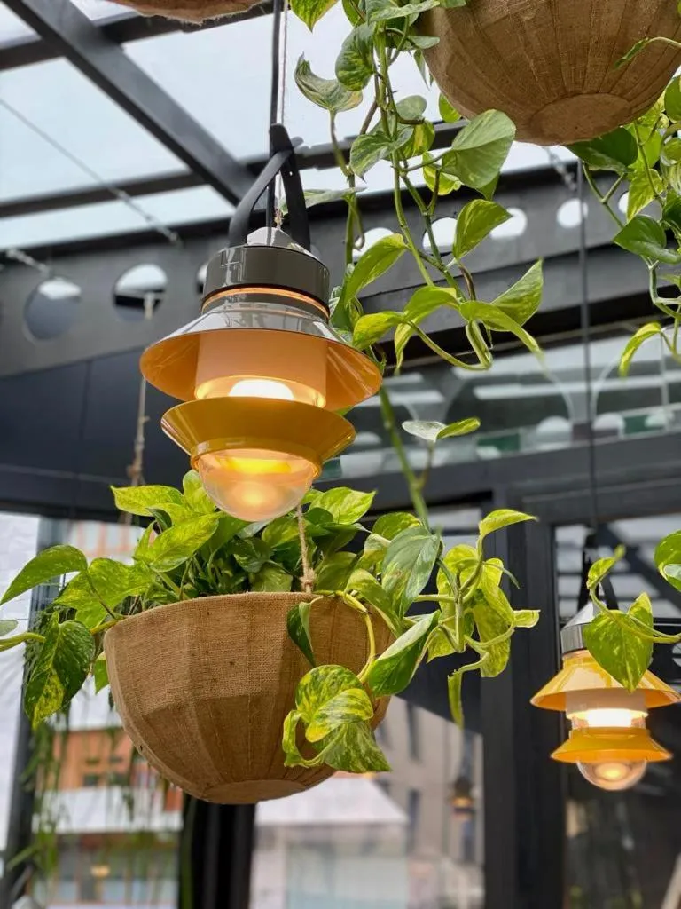 Balcony/Terrace in Hotel Oria