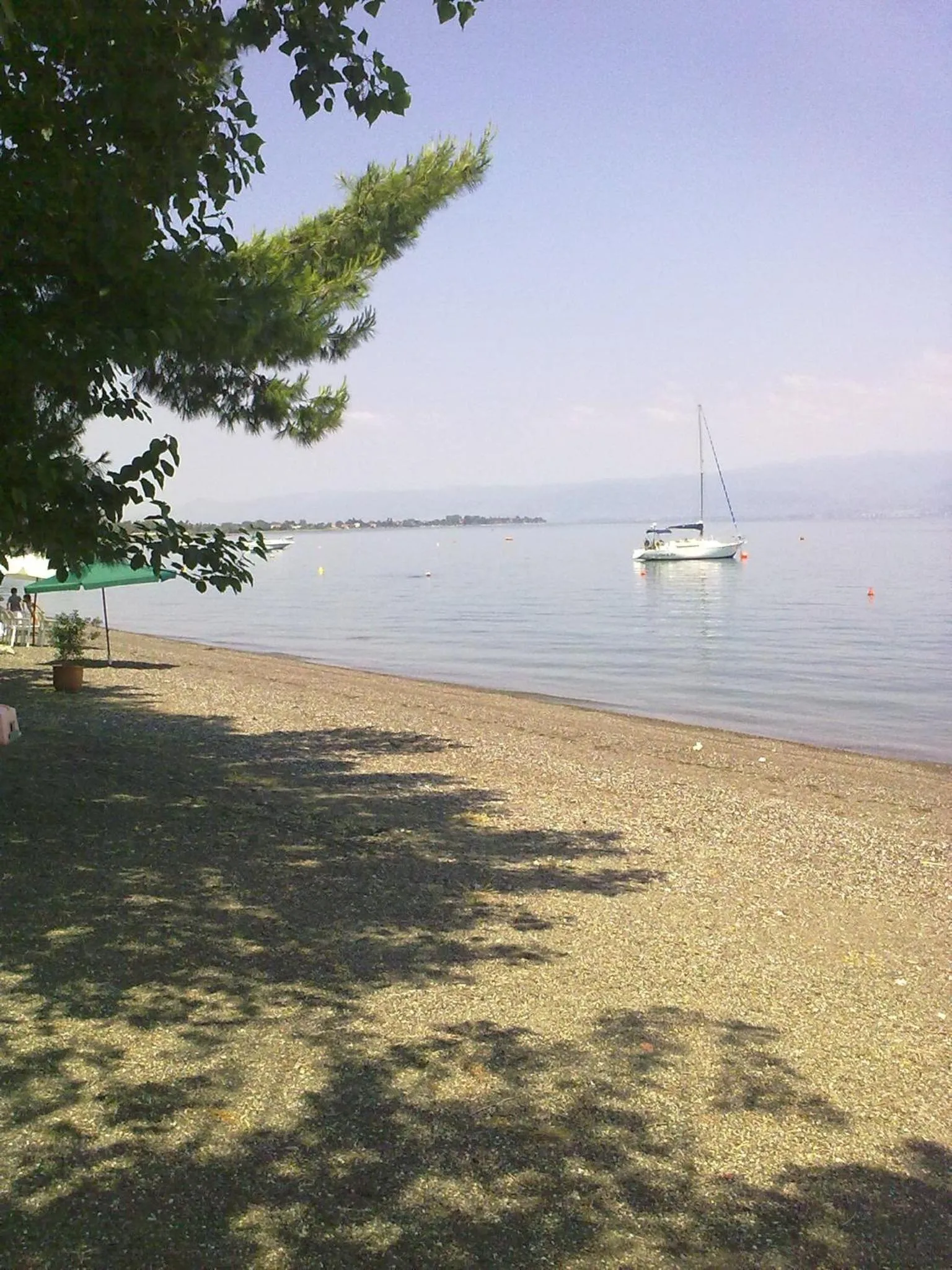 Area and facilities in Violetta