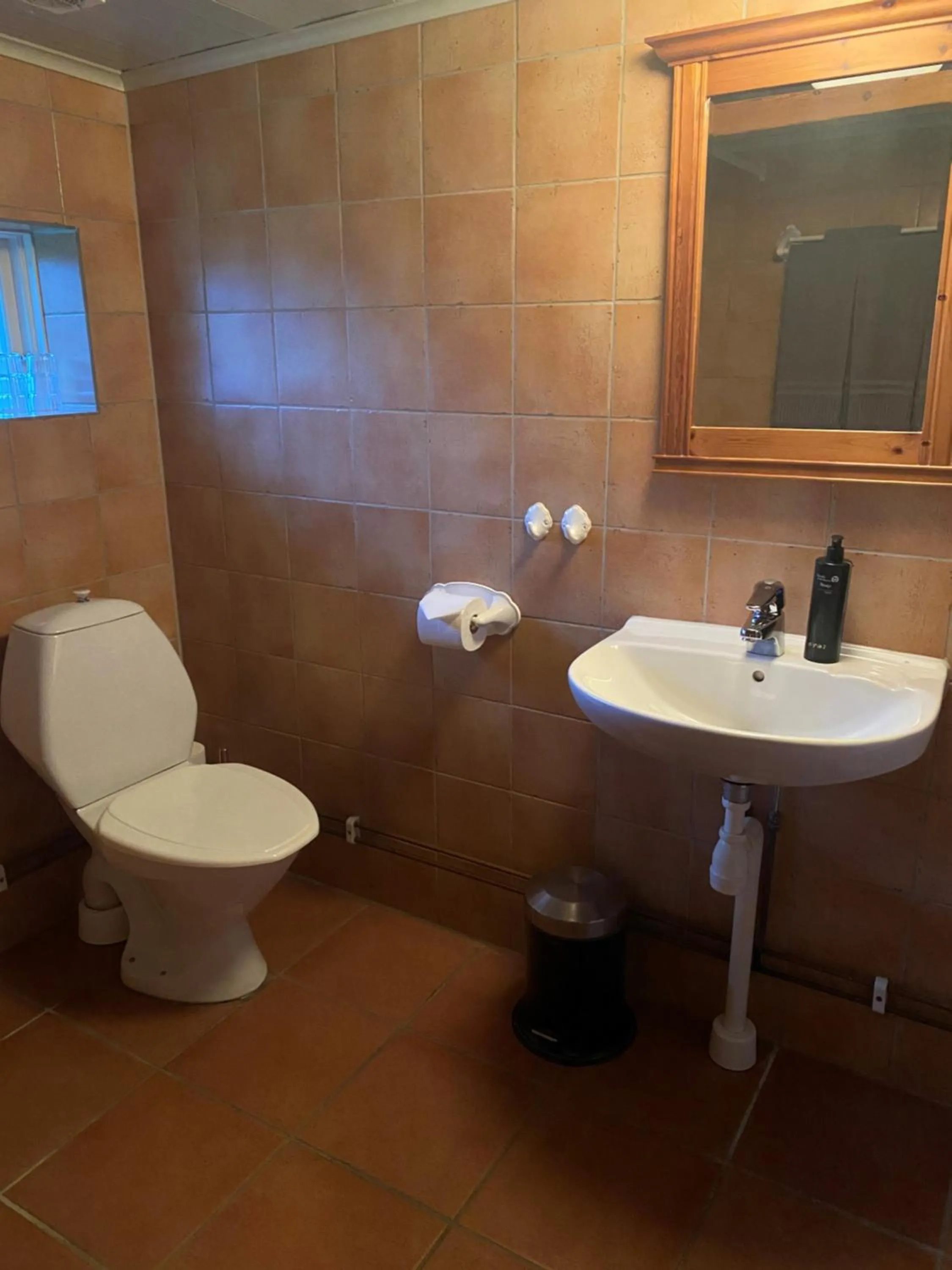 Toilet in Brösarps Gästgifveri & SPA