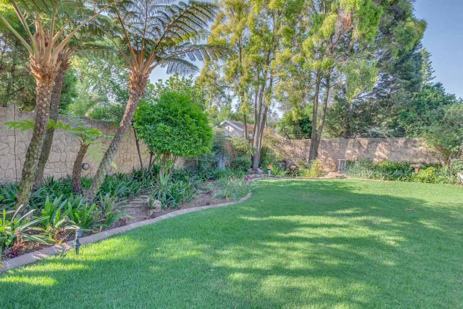 Garden in 49-on-Cherry