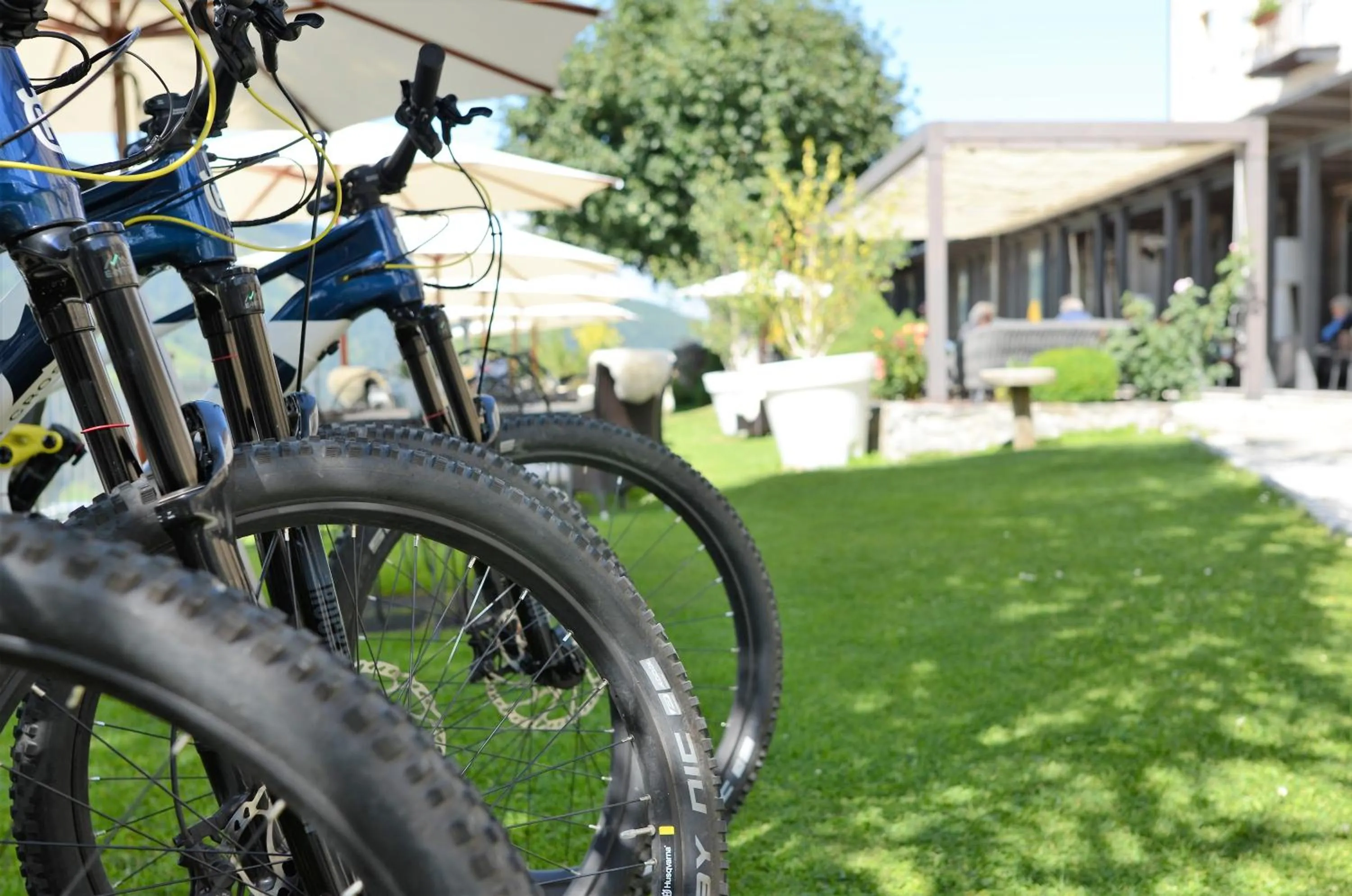 Activities in Hôtel Bella Tola & SPA