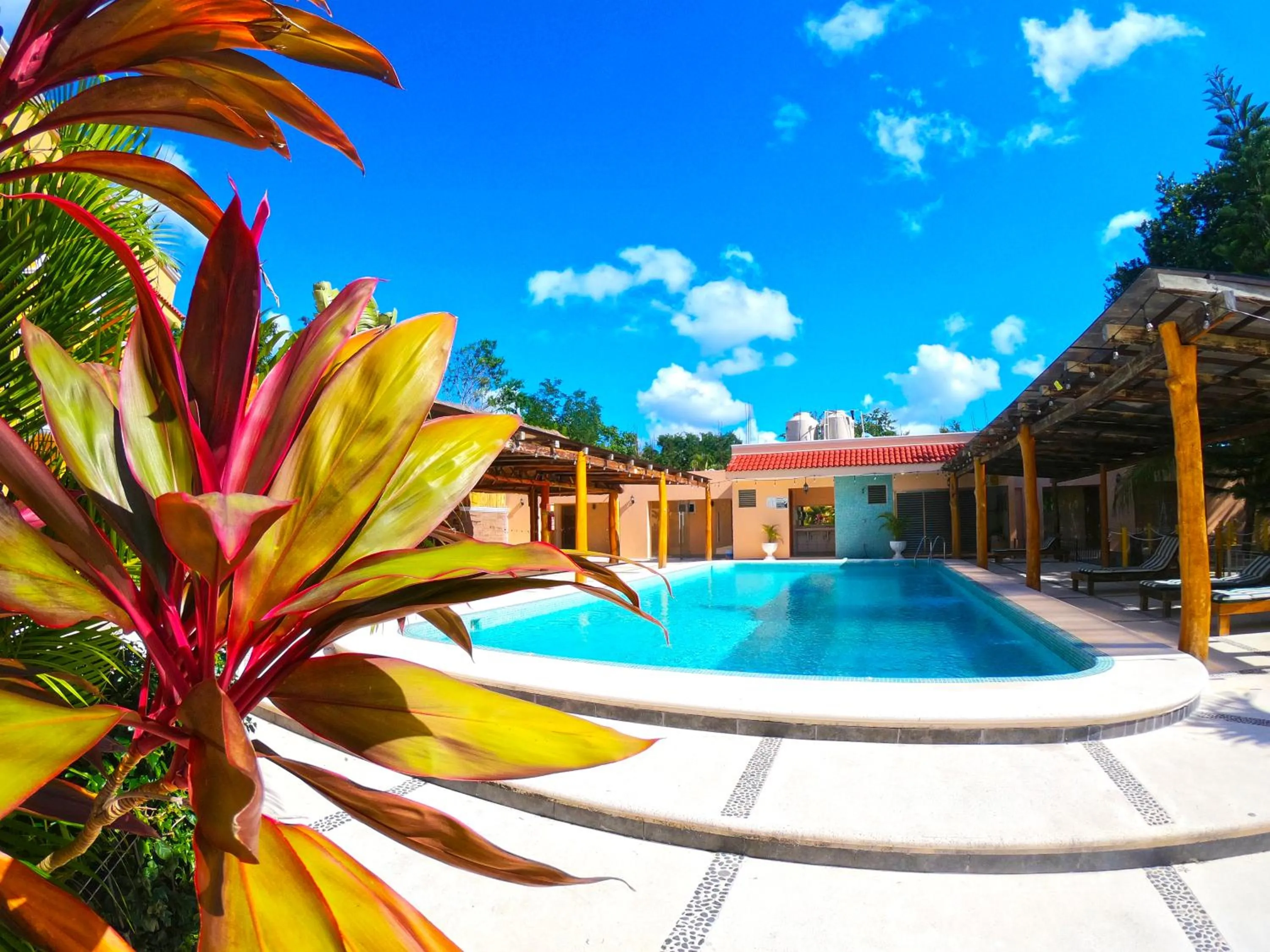 Property building in Hotel Scarlette