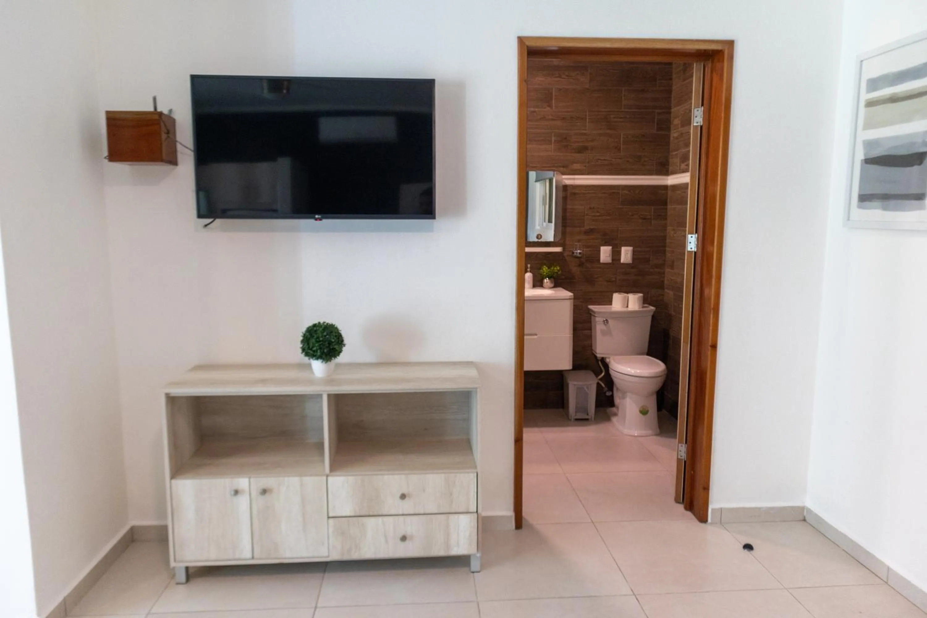 TV and multimedia in Hotel Scarlette