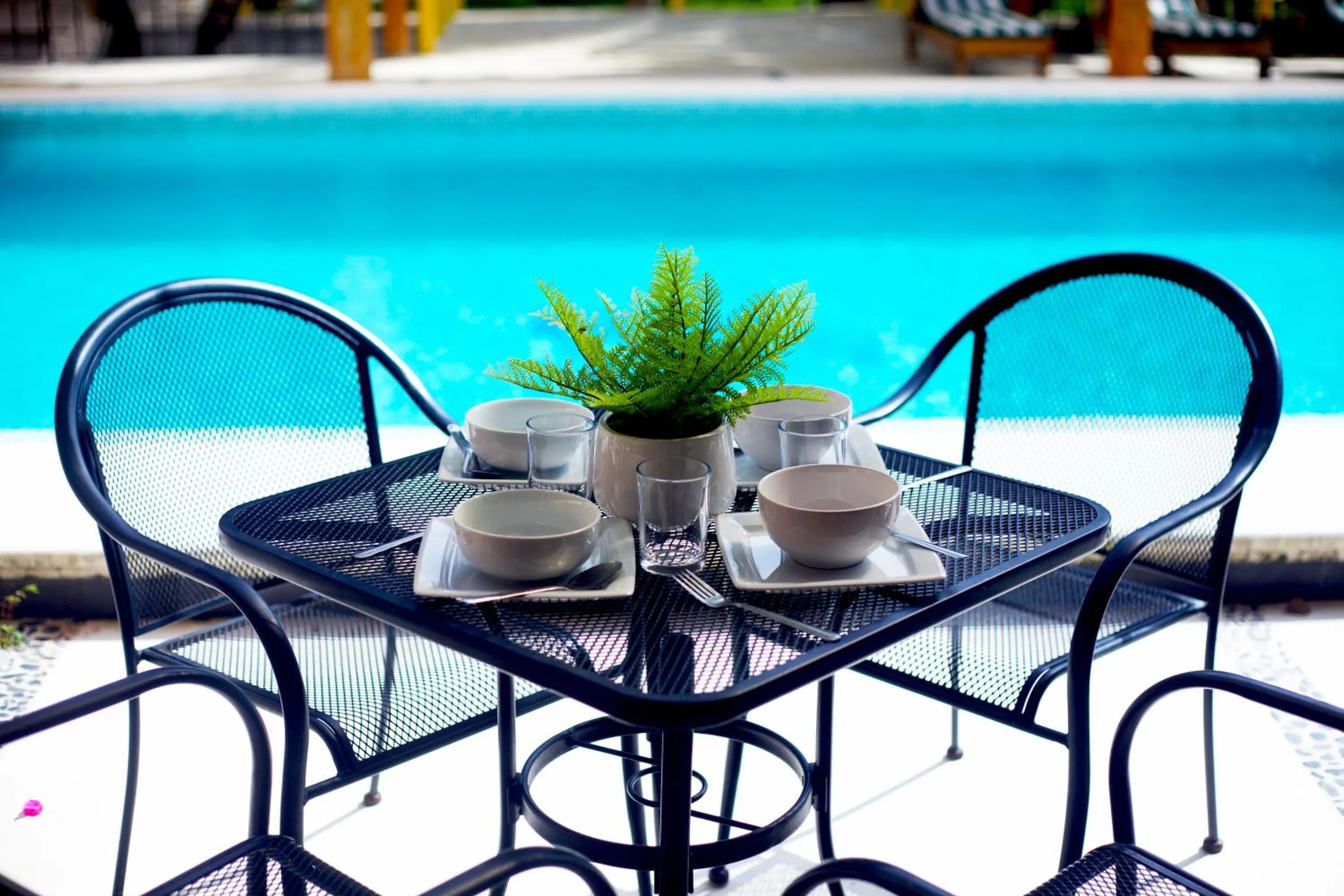 Swimming pool in Hotel Scarlette