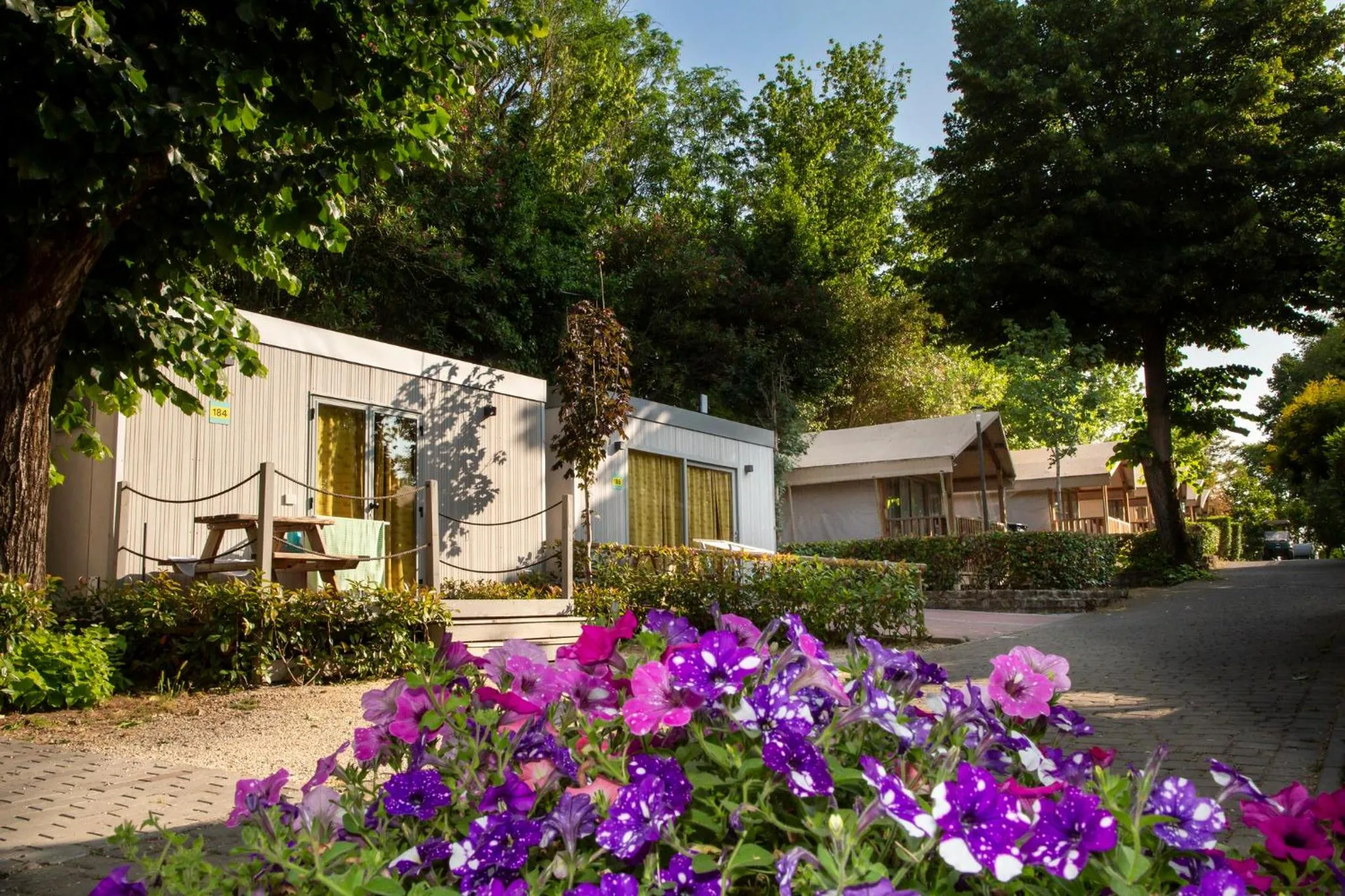 Spring in hu Roma Camping In Town