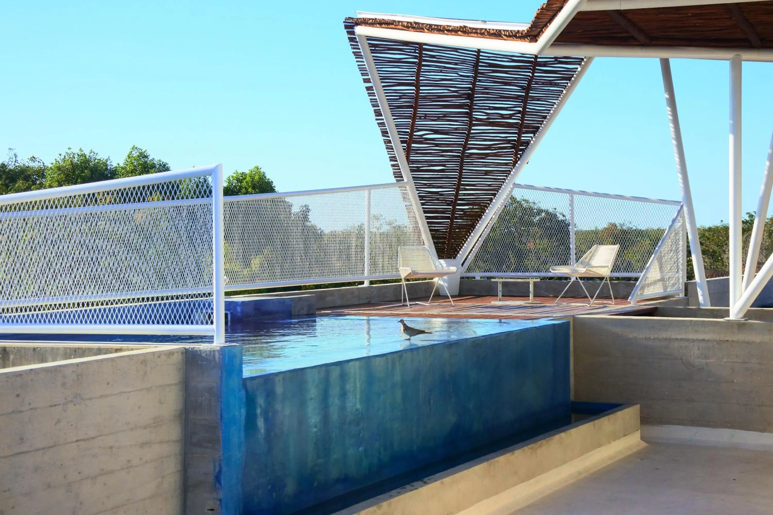 Swimming pool in Casa de Piedra Tulum