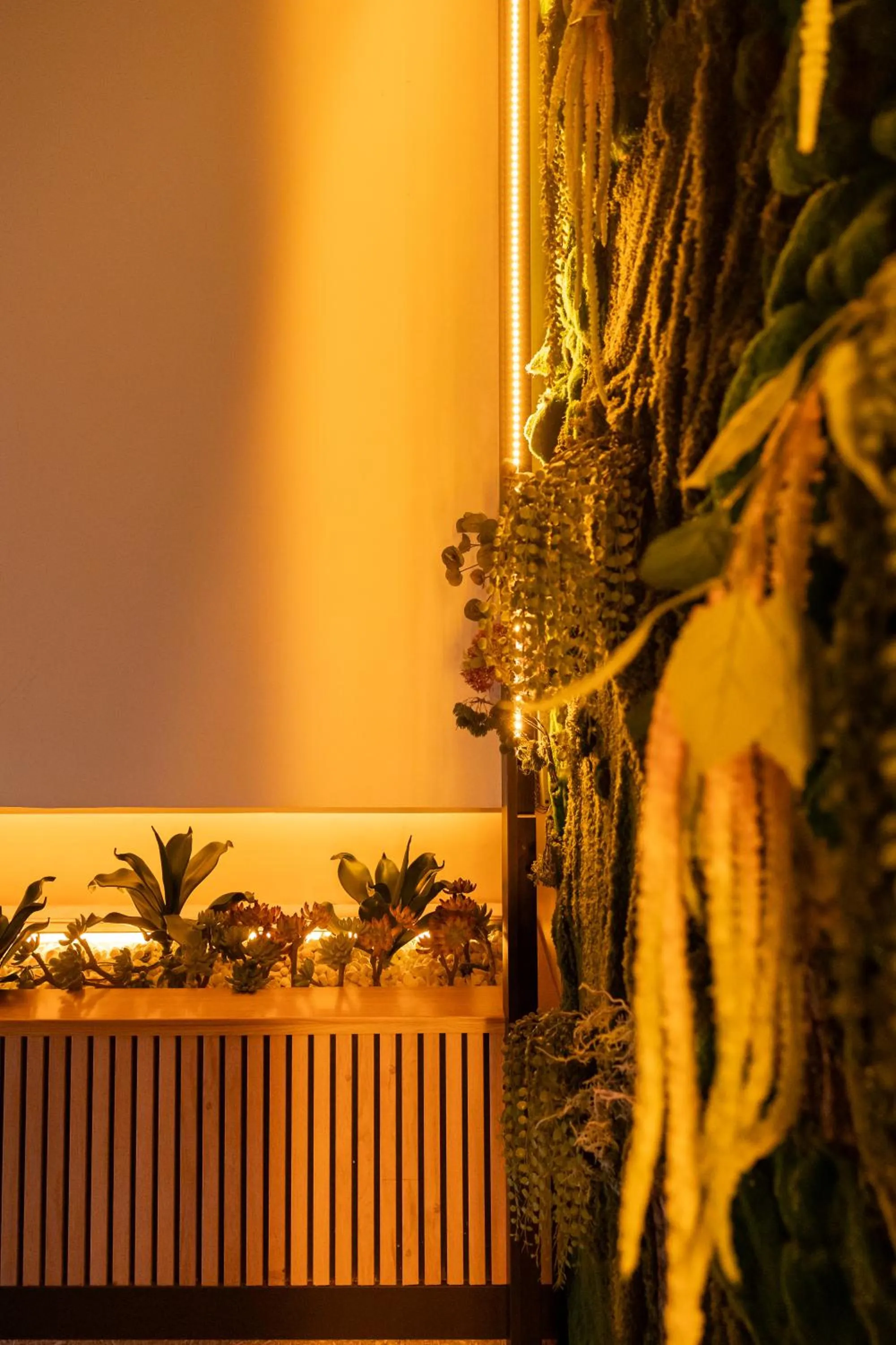 Habitus Casa Lorenzo