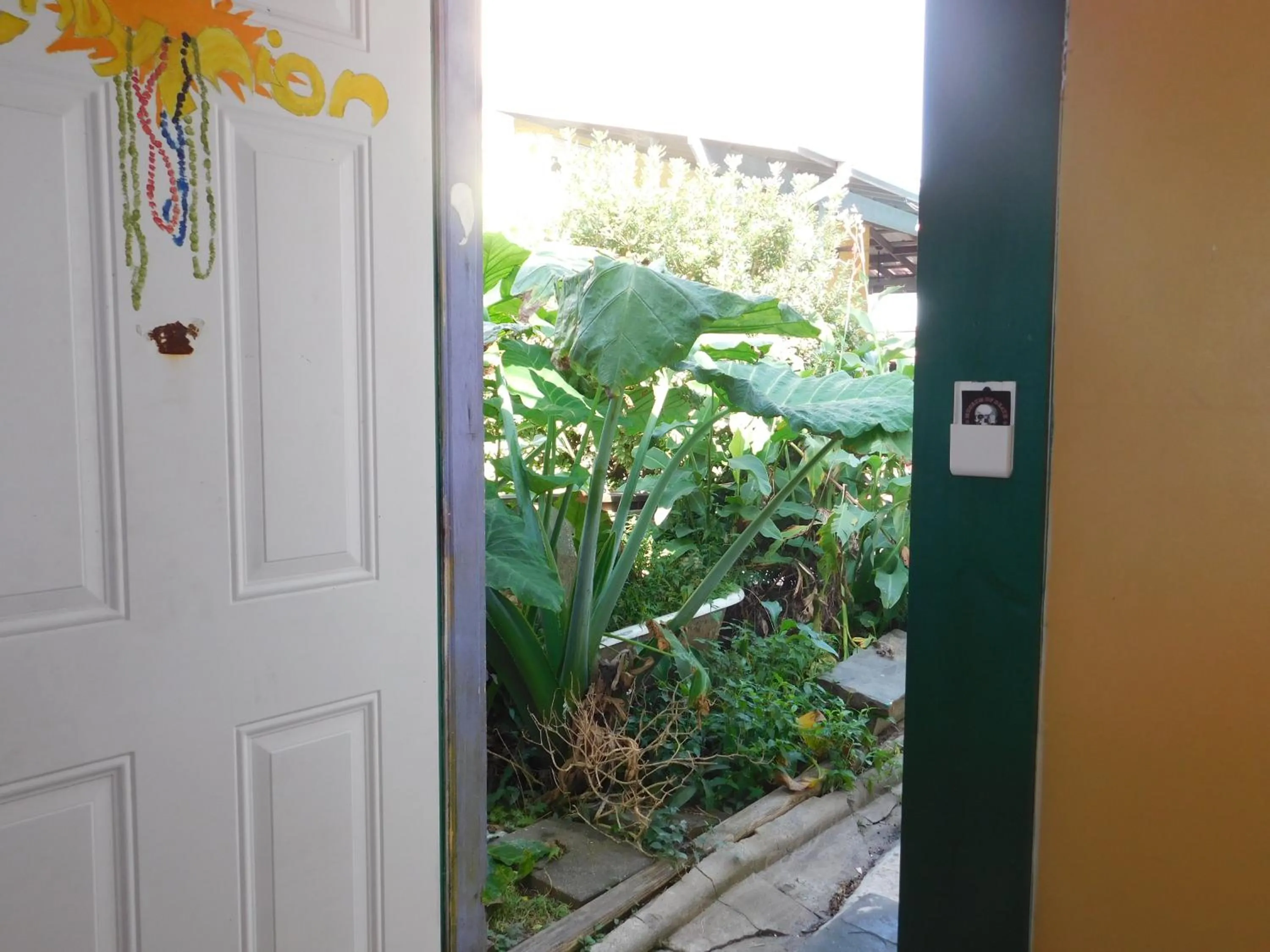 Garden view in India House Hostel