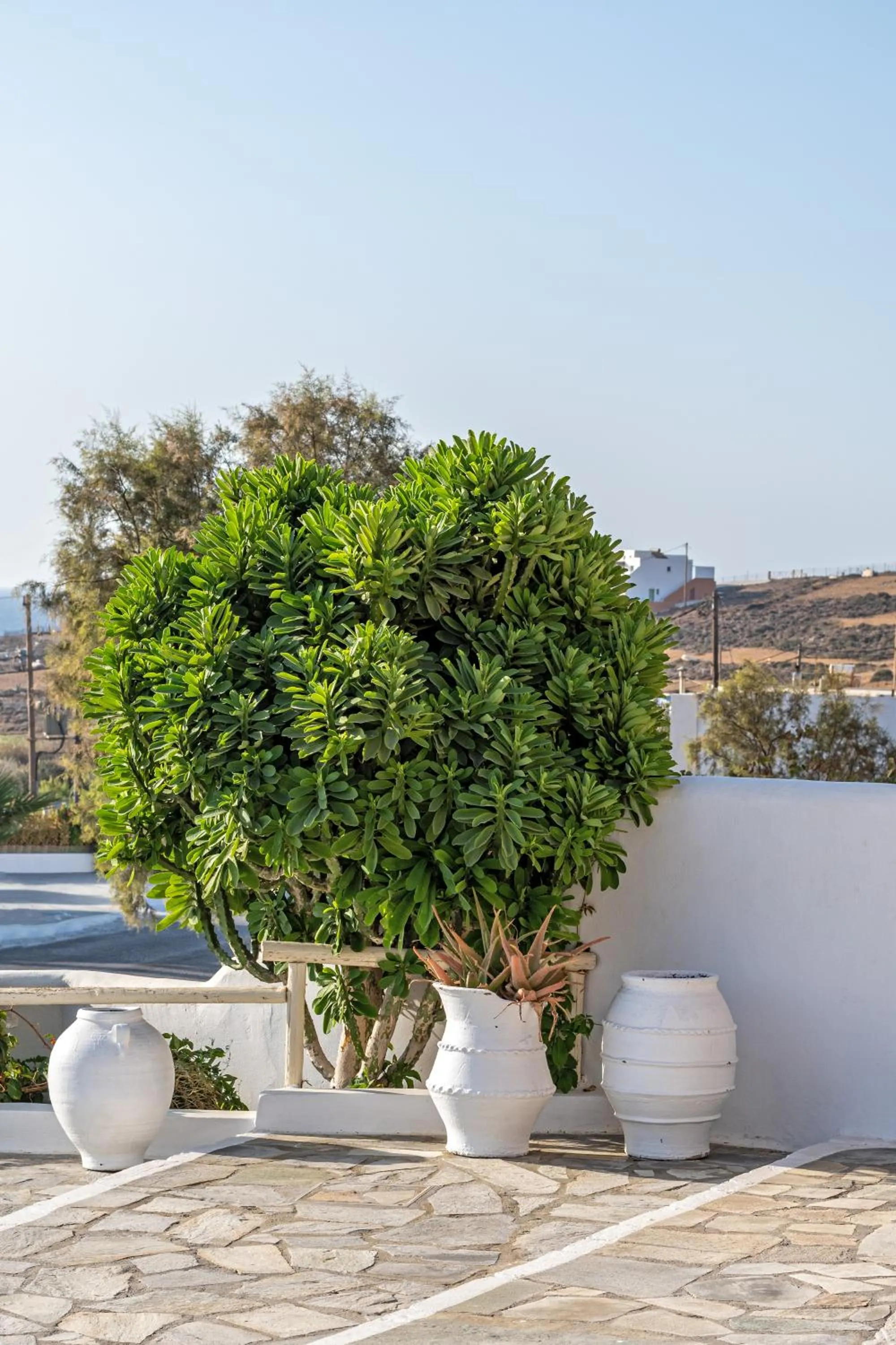 Day in Hotel Castillio