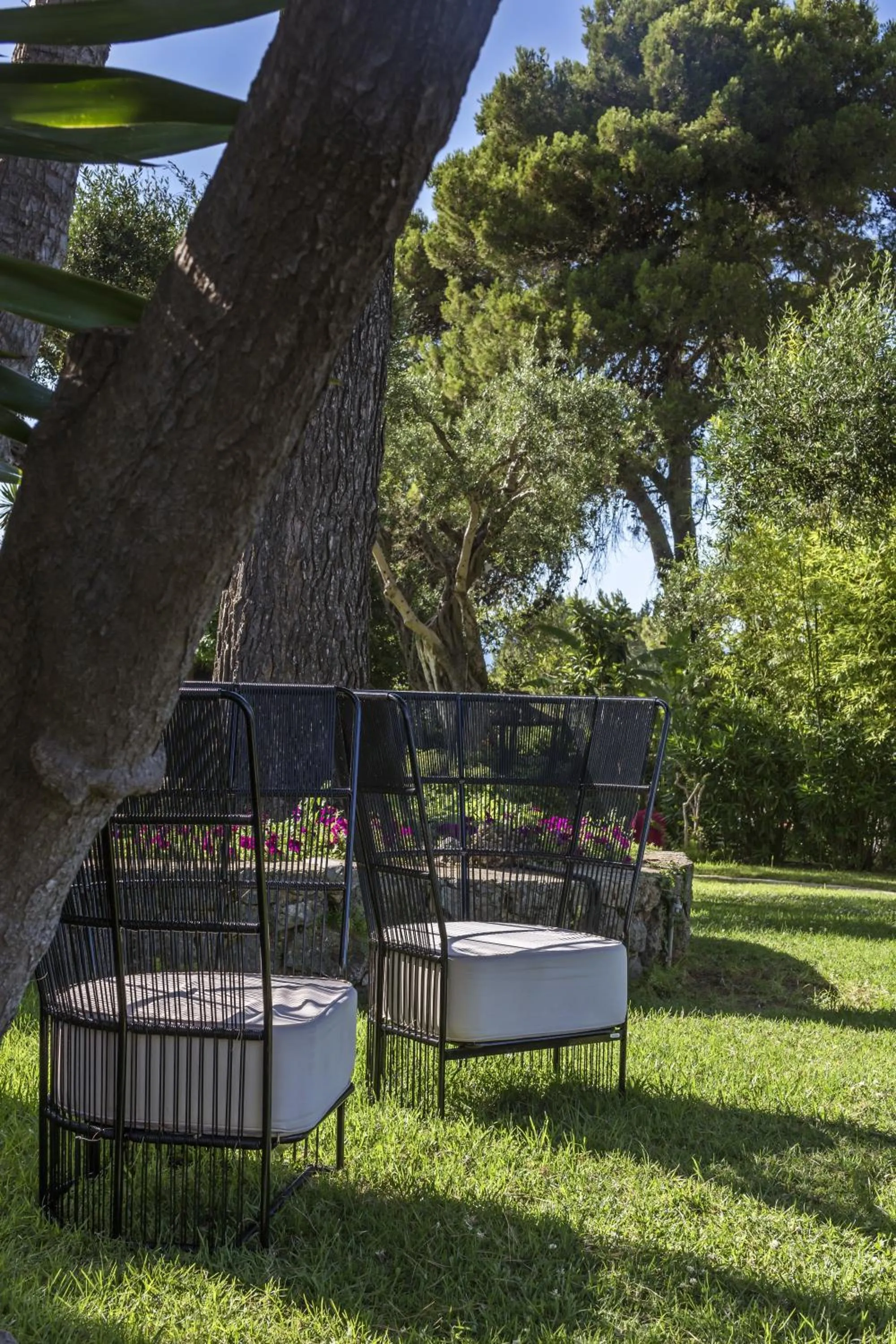 Garden in Kontokali Bay Resort & Spa