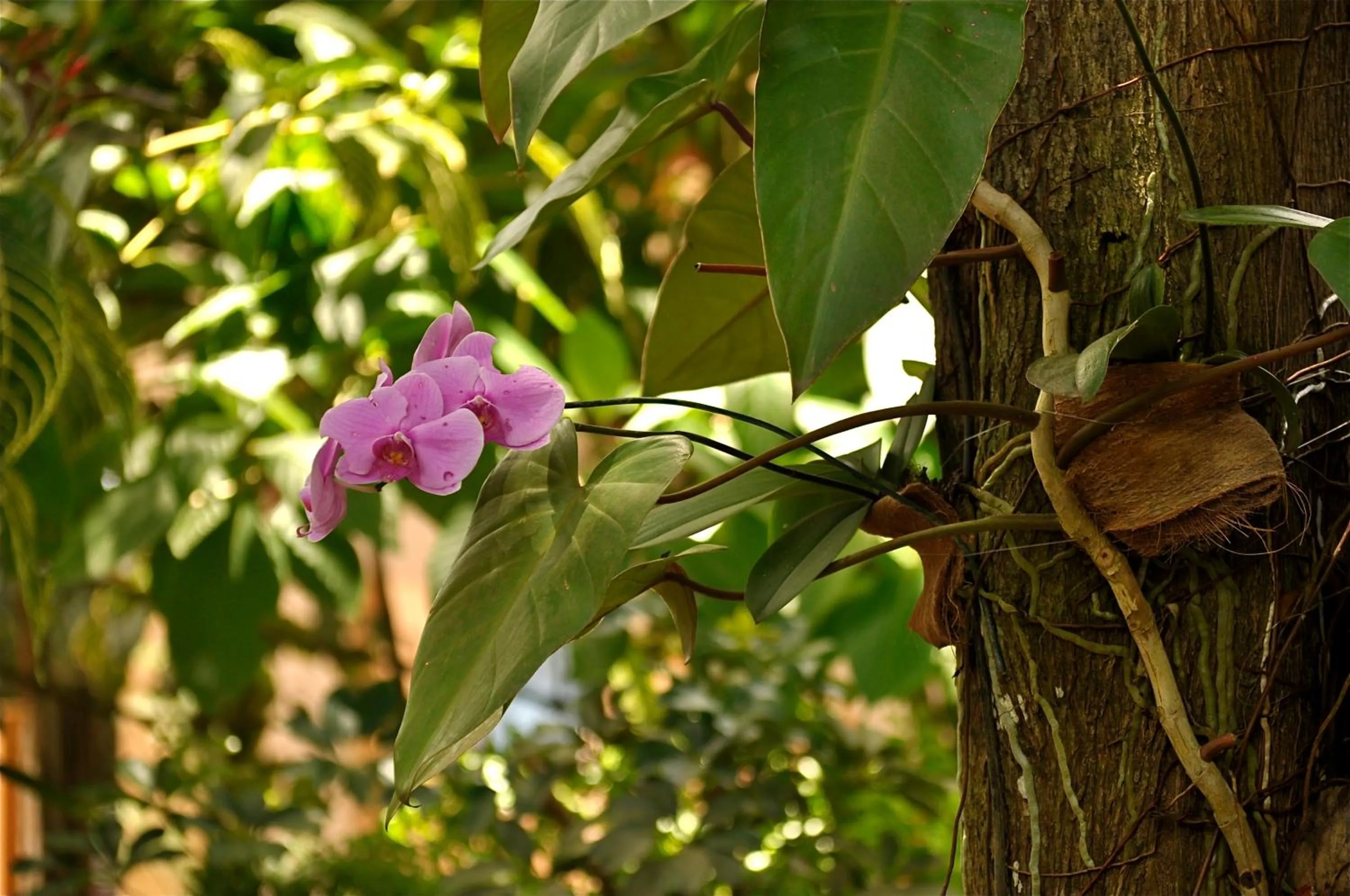 Facade/entrance in Pousada Quarto Crescente