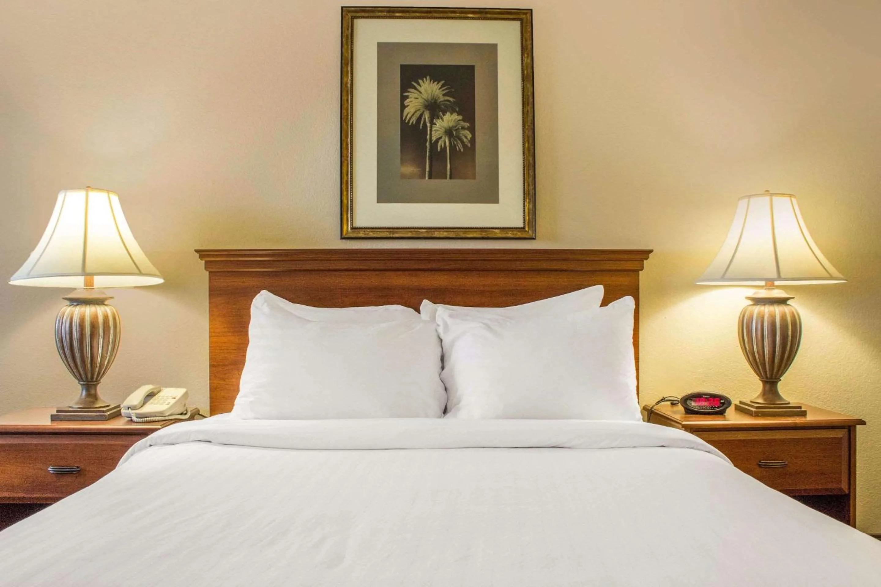 Photo of the whole room, Bed in Quality Inn Benson I-10 Exit 304