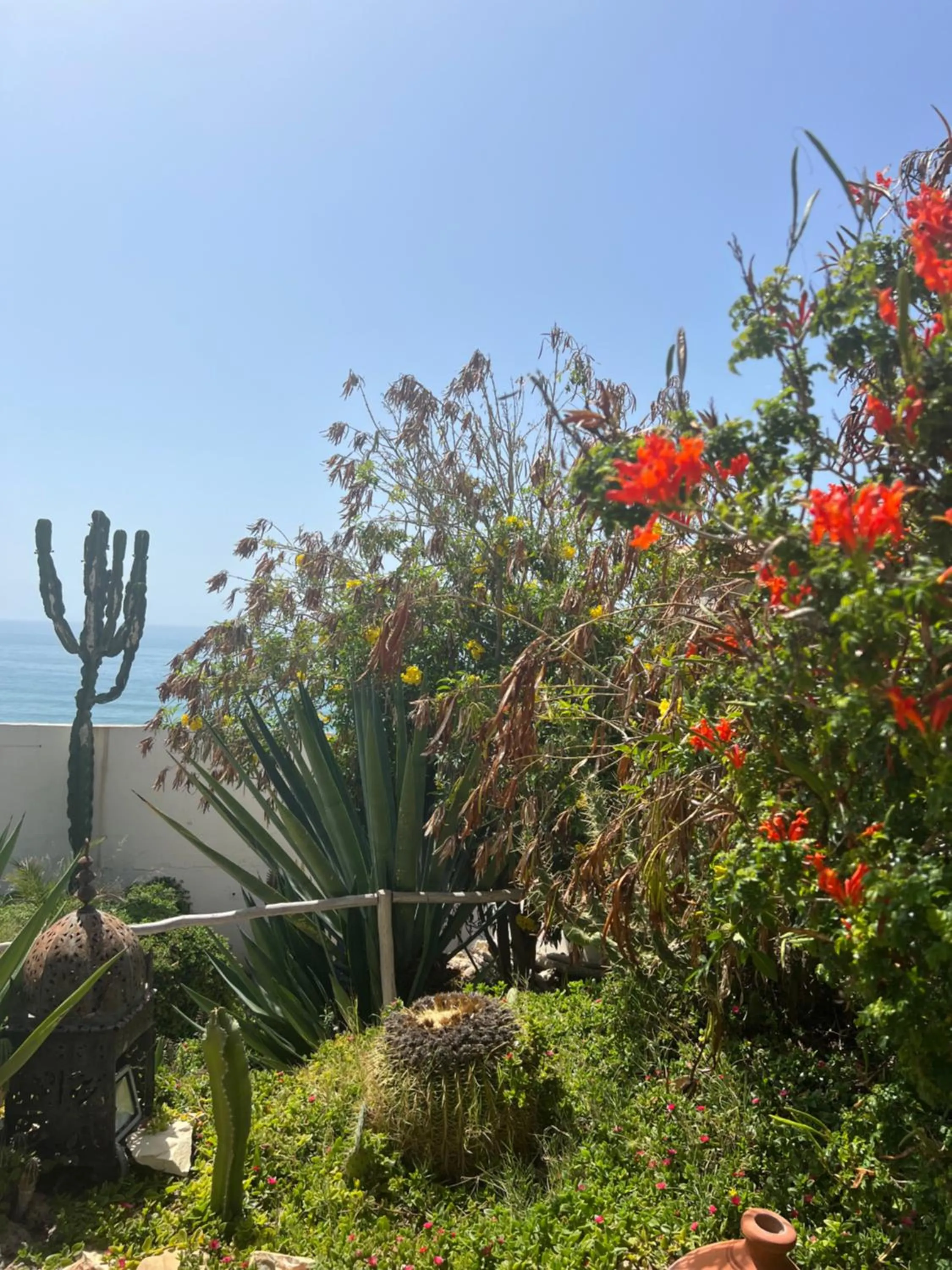 Garden in Villa Jardin De l'Ocean
