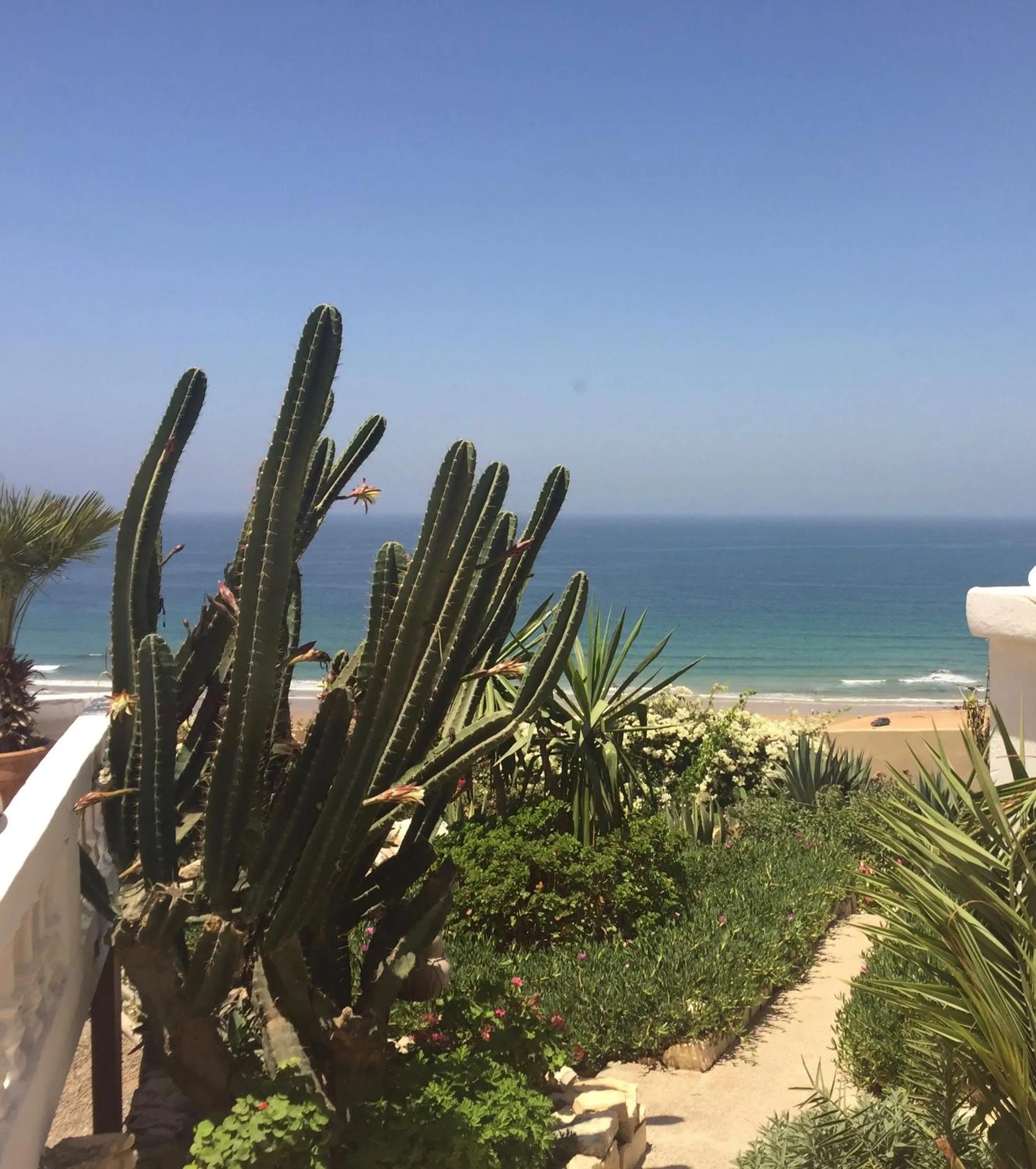 Garden view in Villa Jardin De l'Ocean