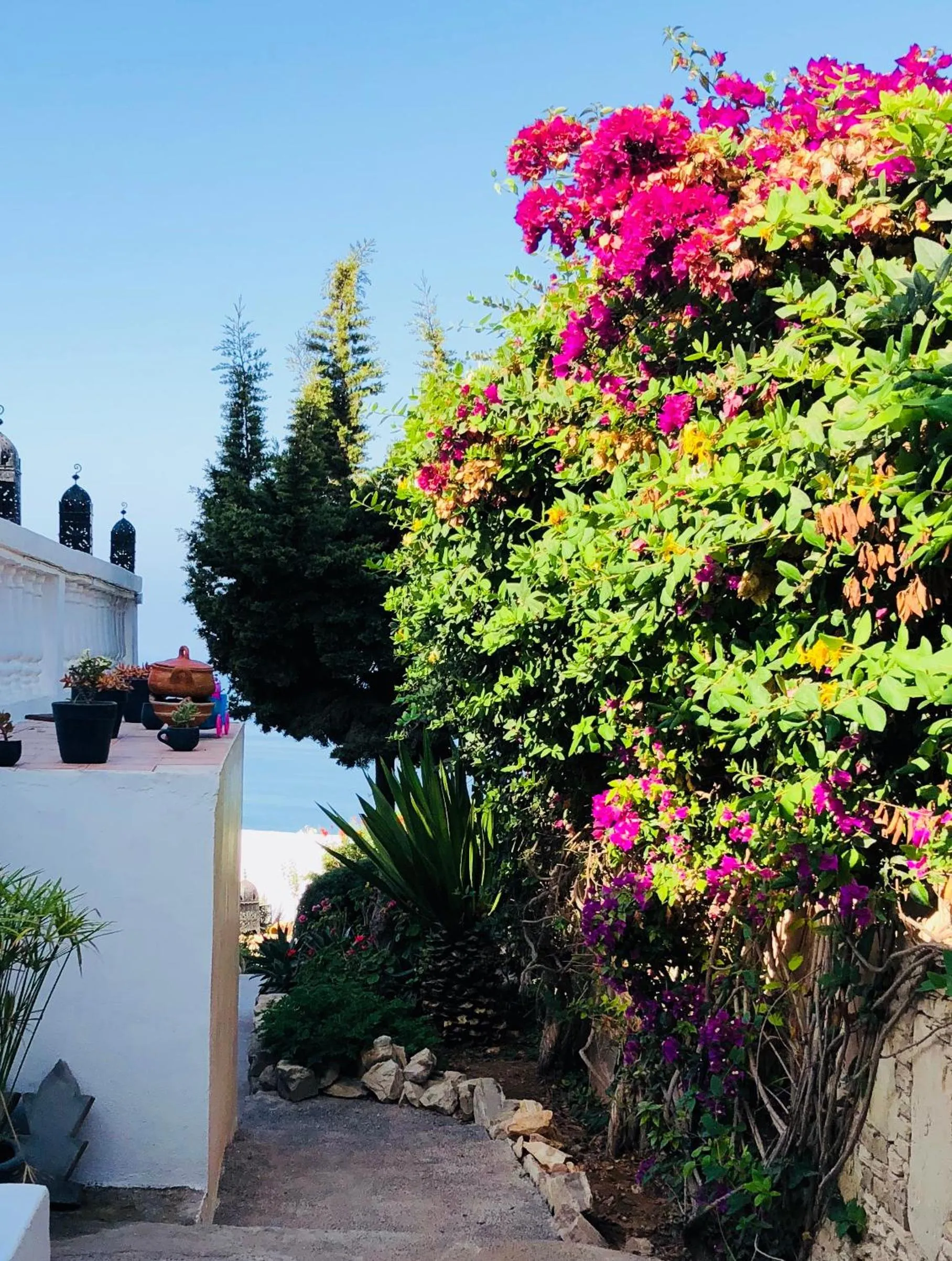Garden in Villa Jardin De l'Ocean