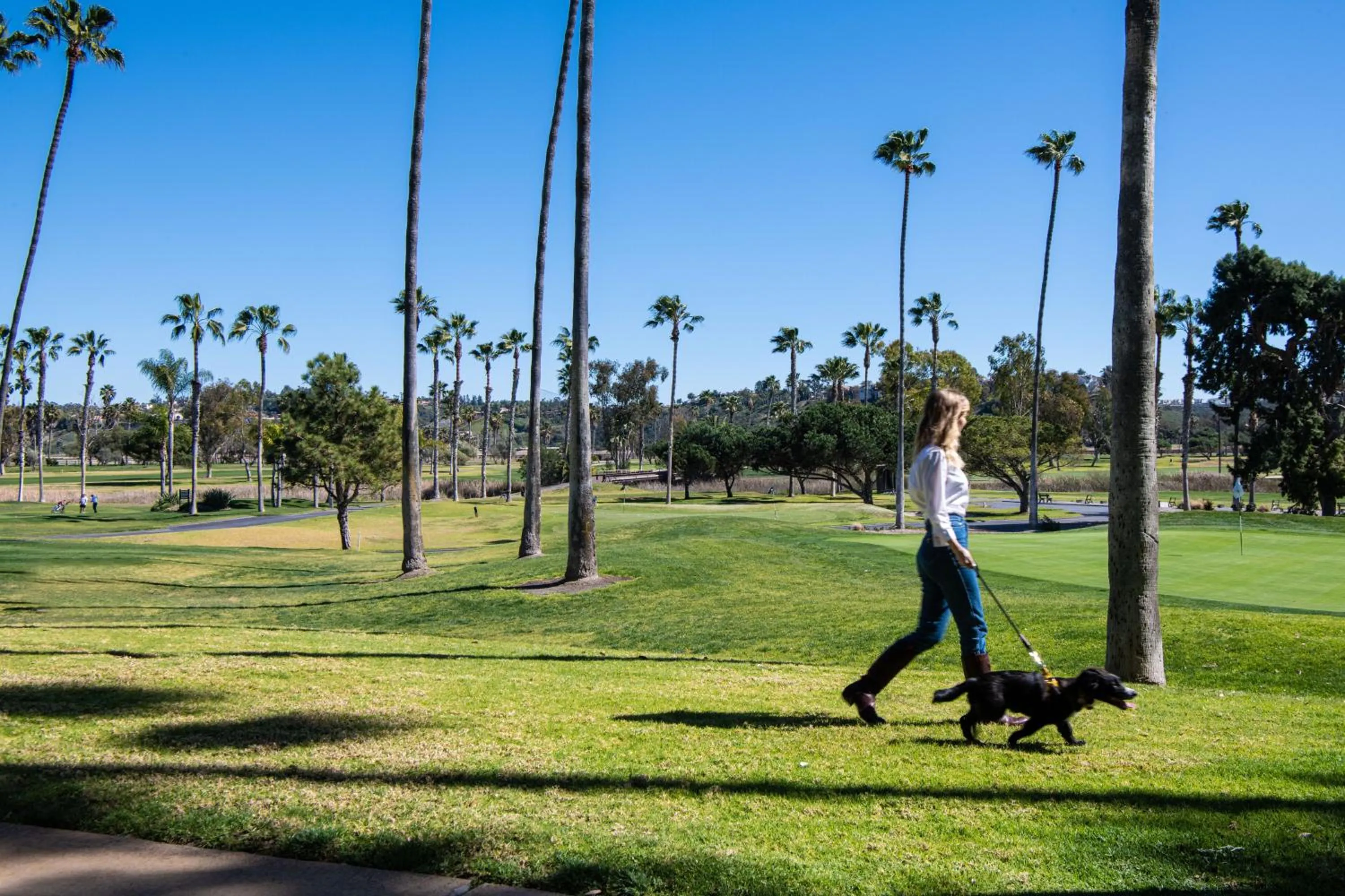 Golfcourse in Morgan Run Resort