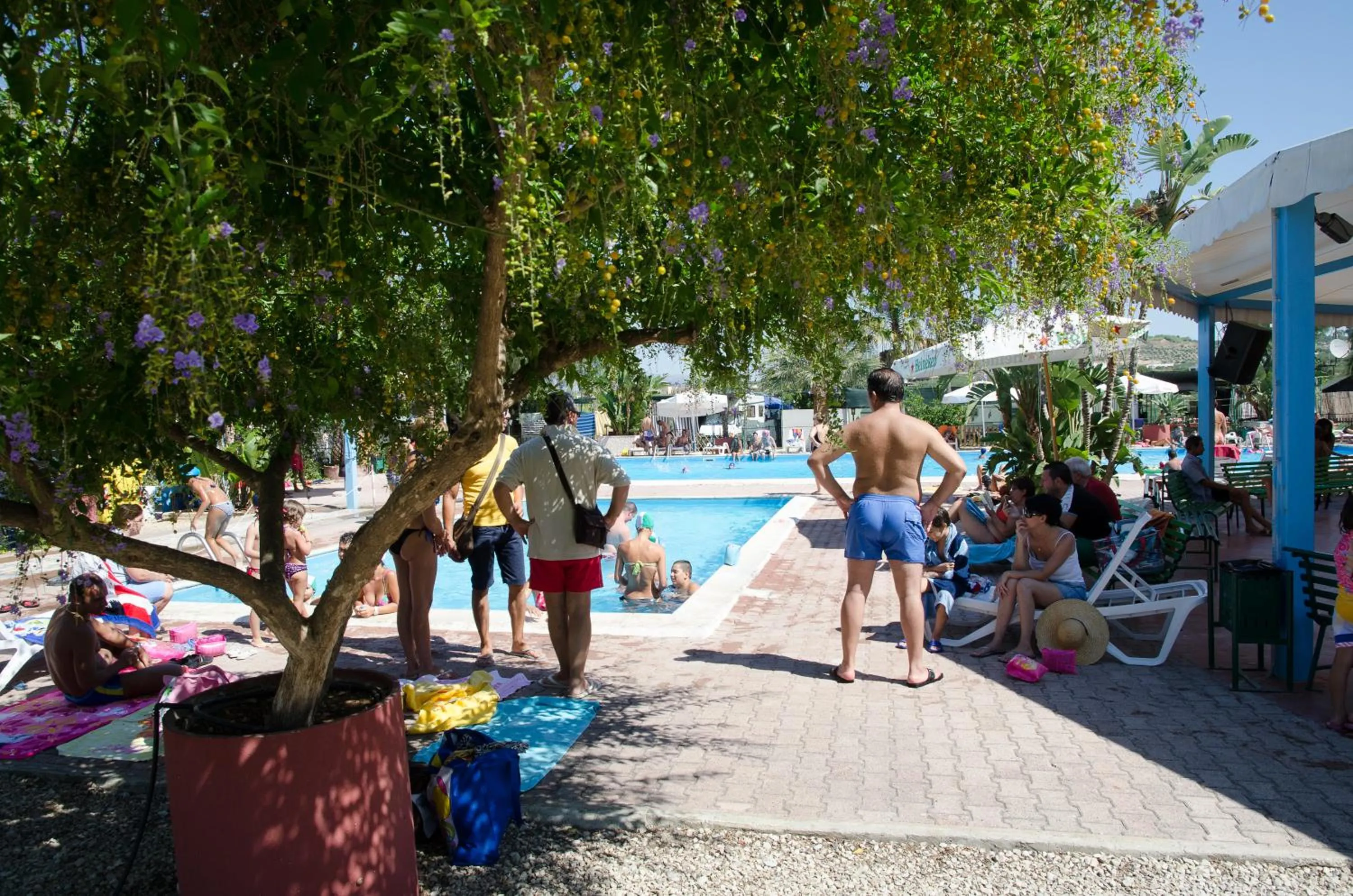 Swimming pool in Kamemi Village & Camping