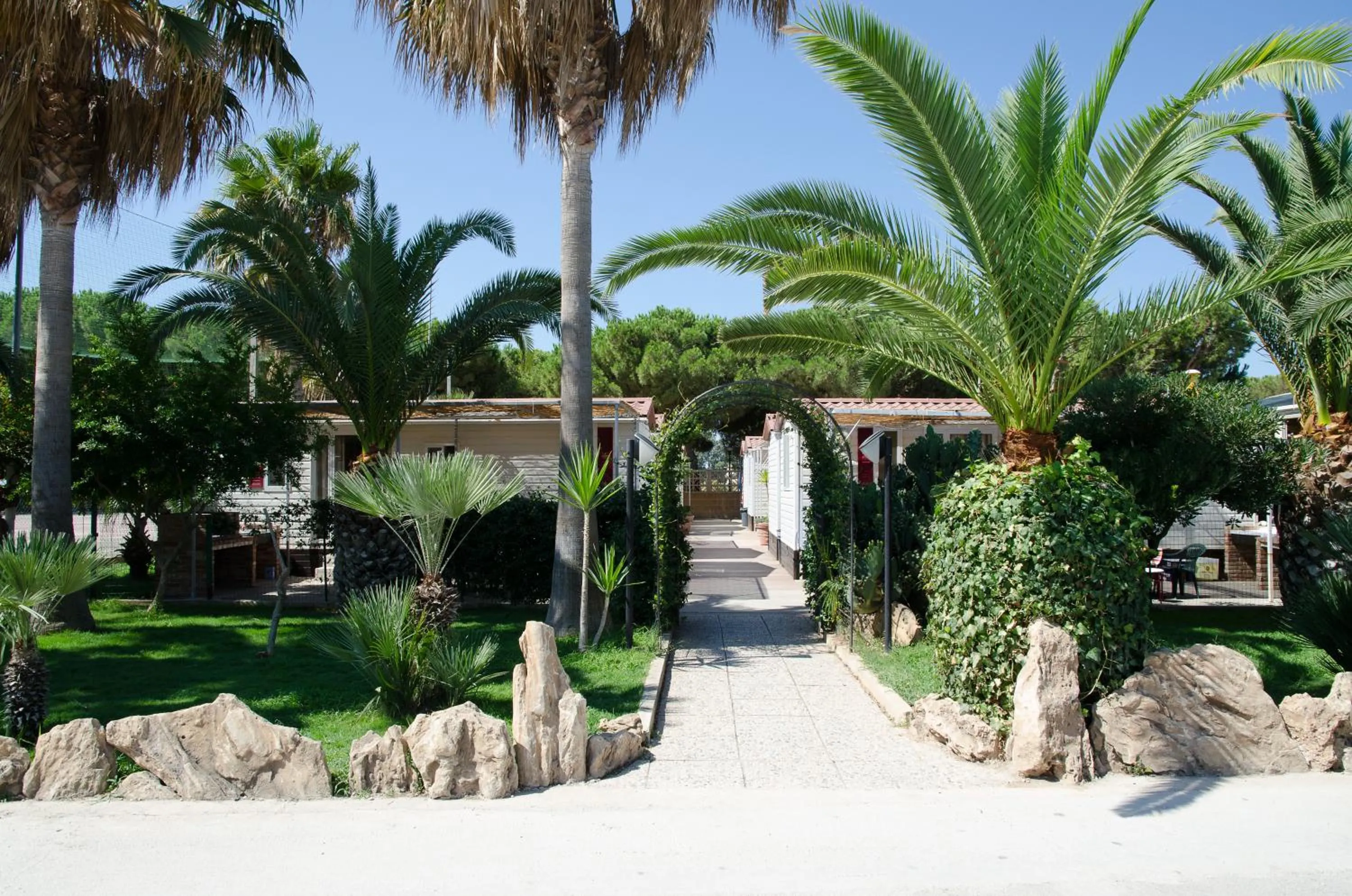 Garden in Kamemi Village & Camping