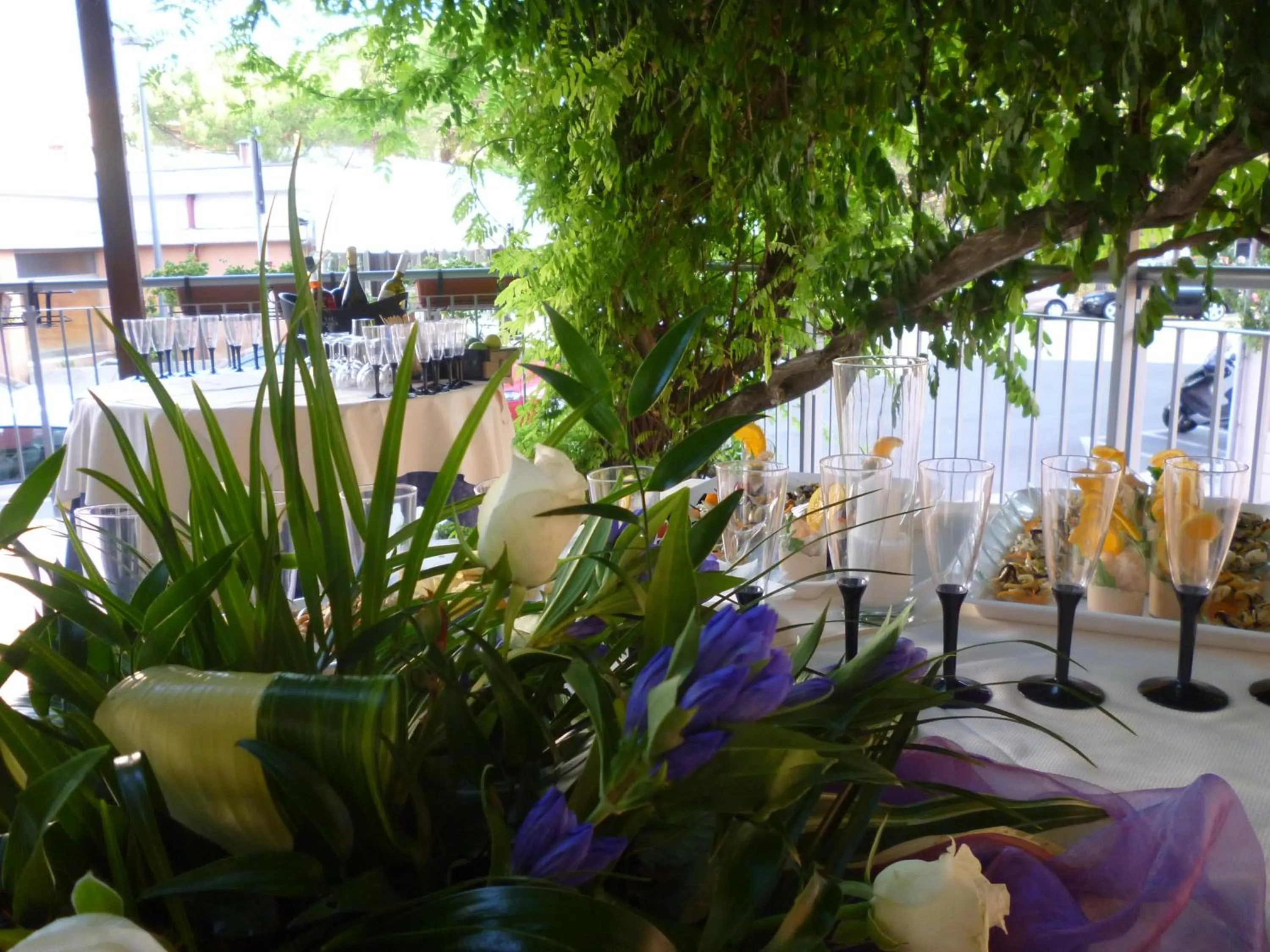 Restaurant/places to eat in Hotel Europa