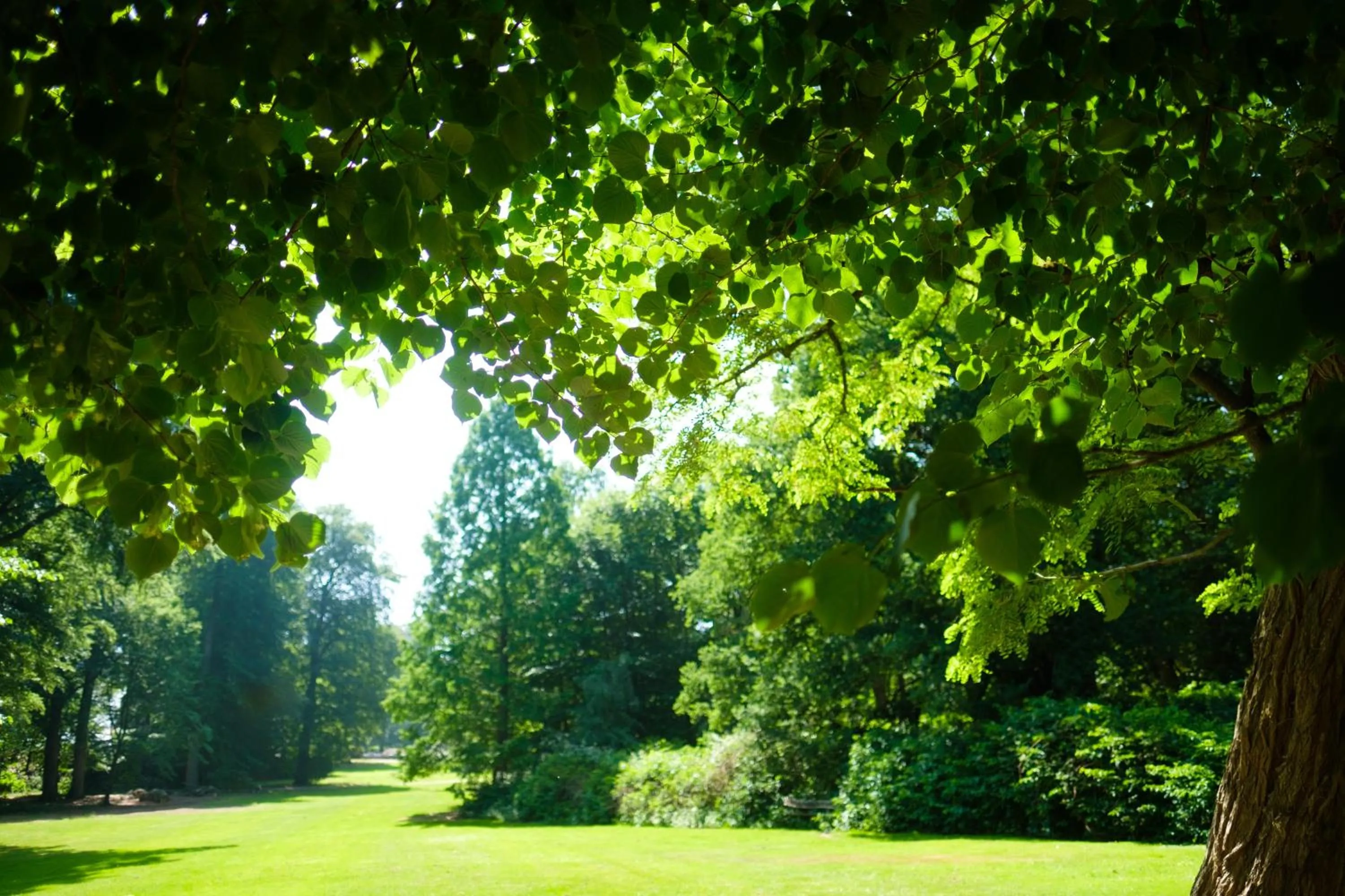 Landgoed Rhederoord nabij Arnhem