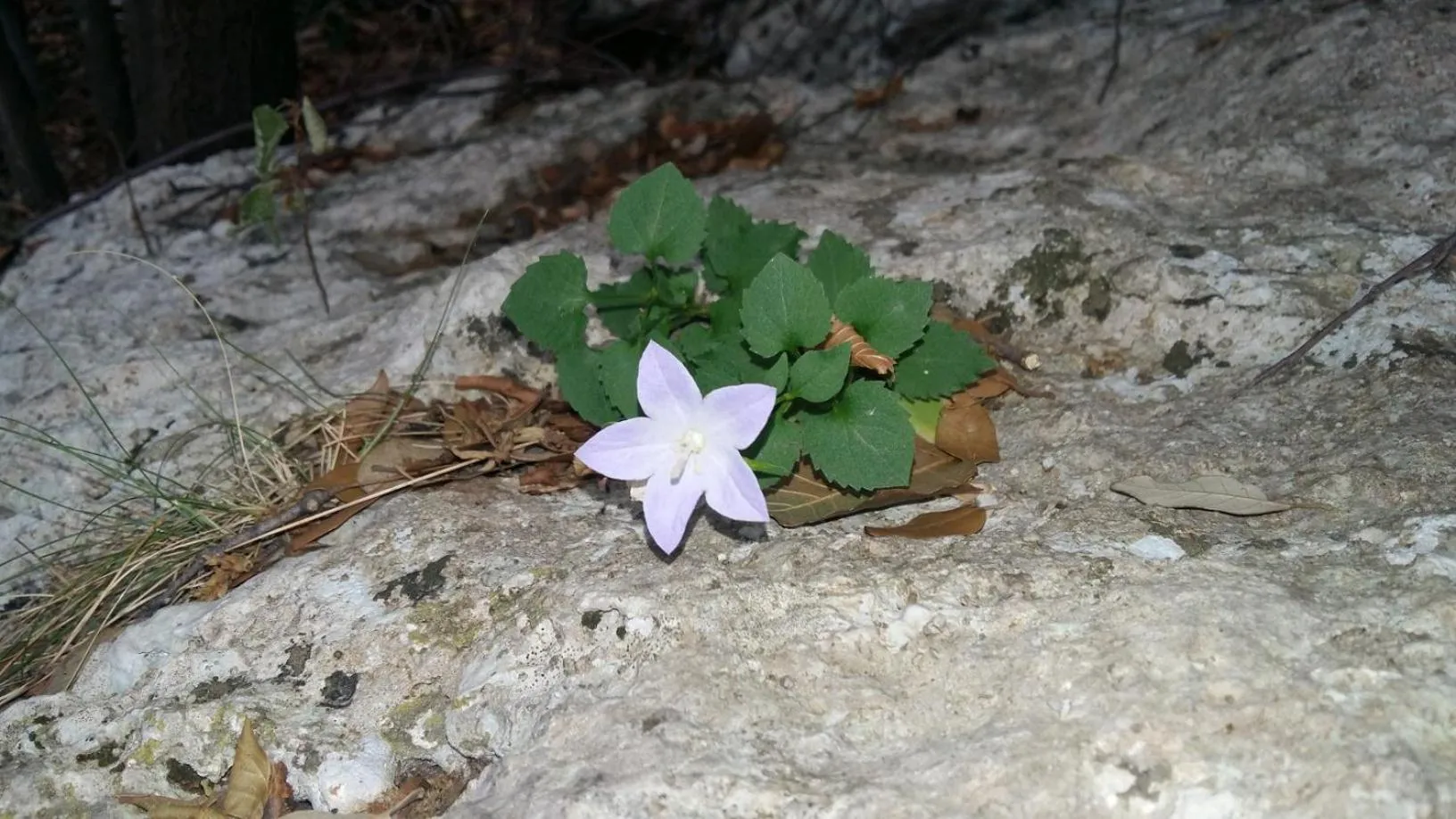 Natural landscape in La vie est belle
