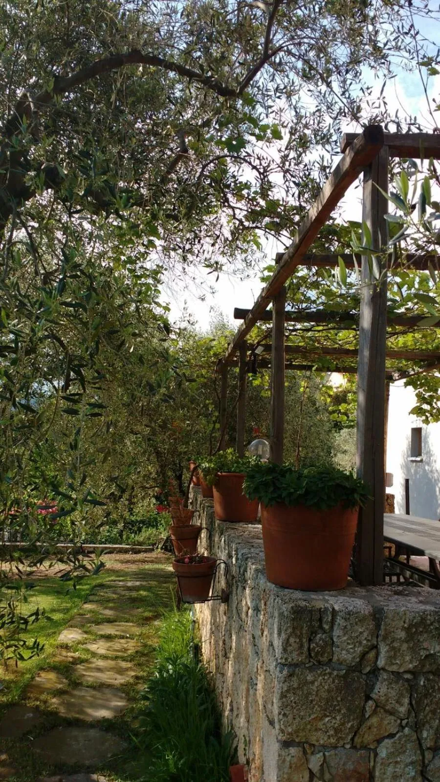 Garden in La vie est belle