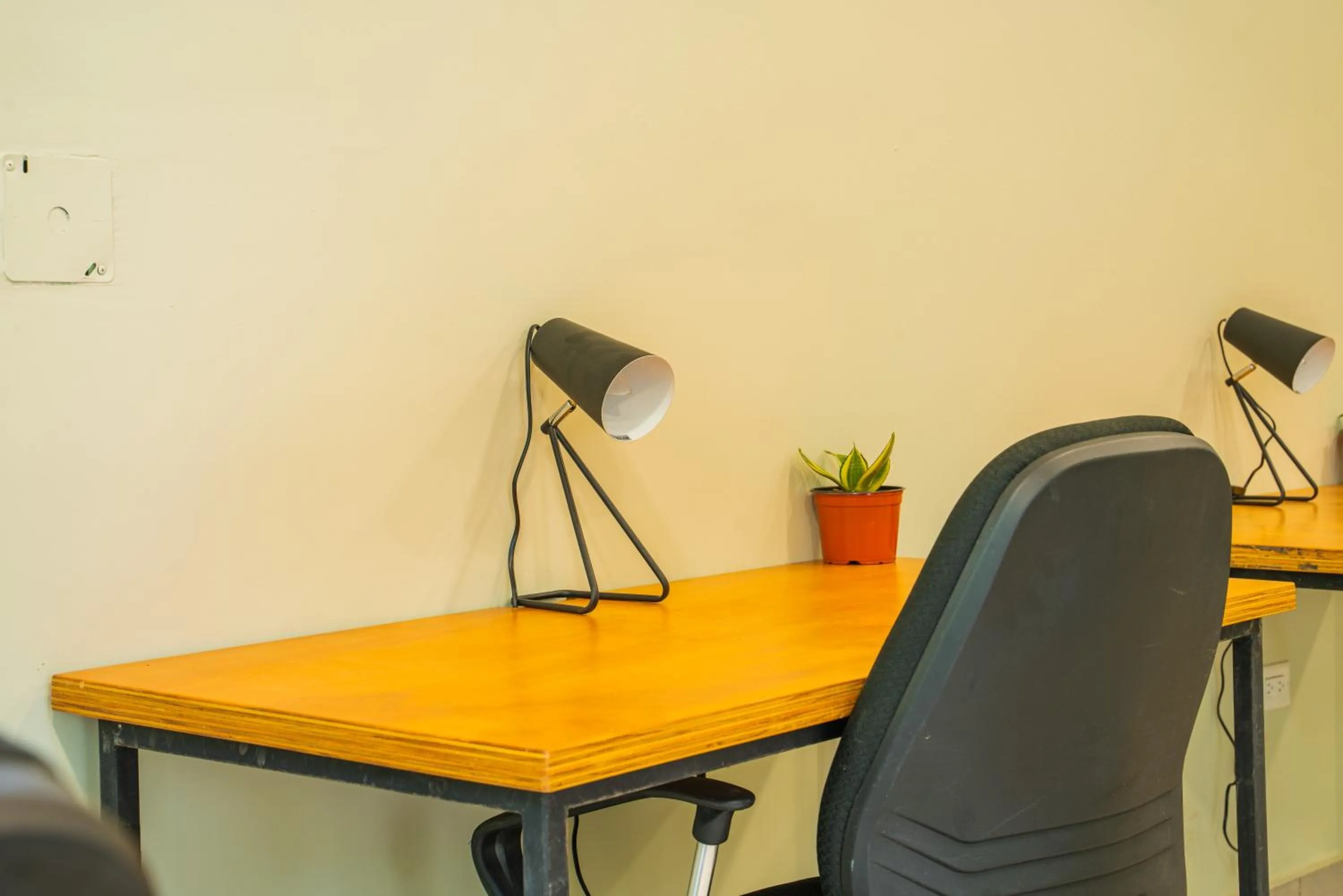 Business facilities in Selina River Venao