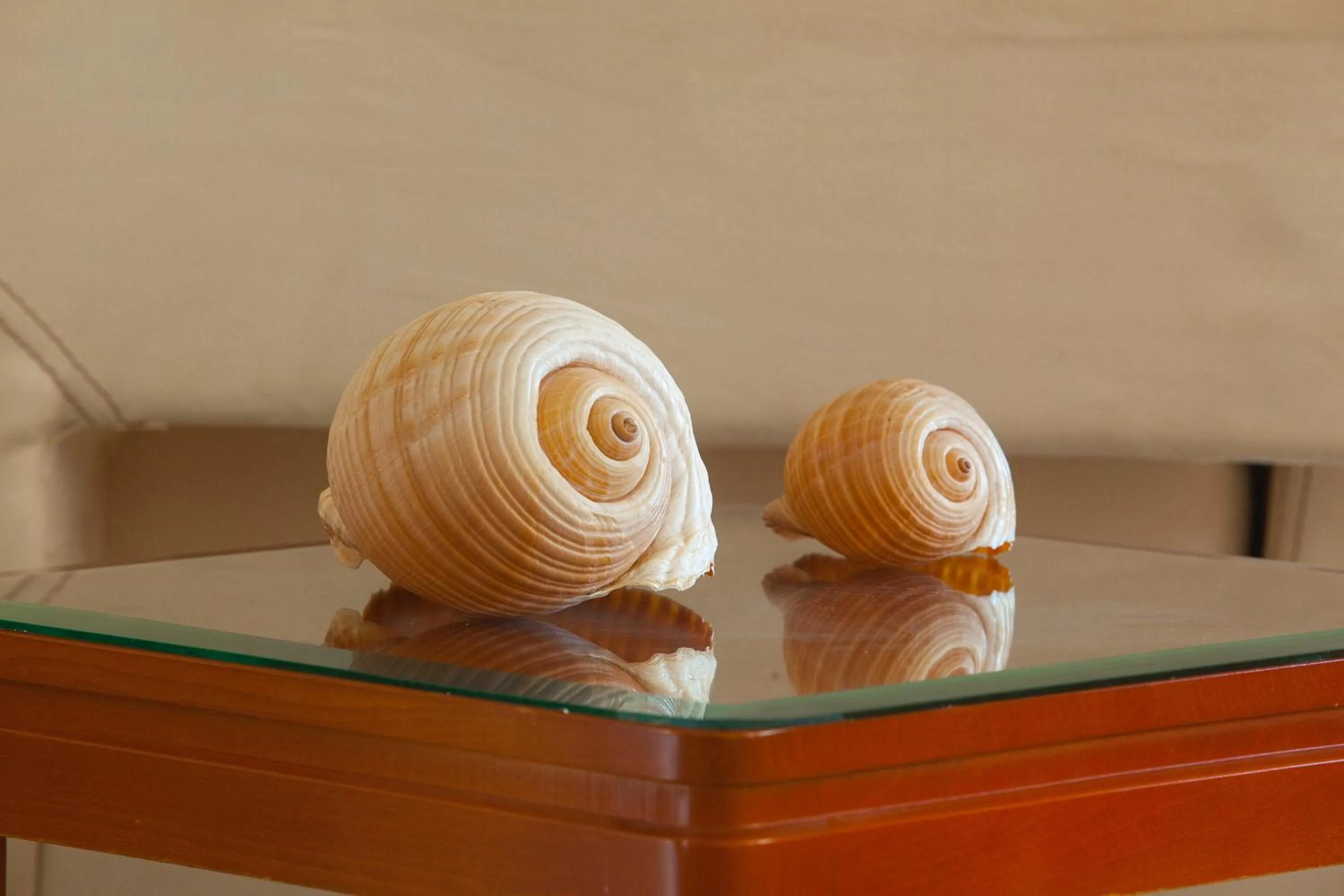 Lobby or reception in Pavlos Hotel