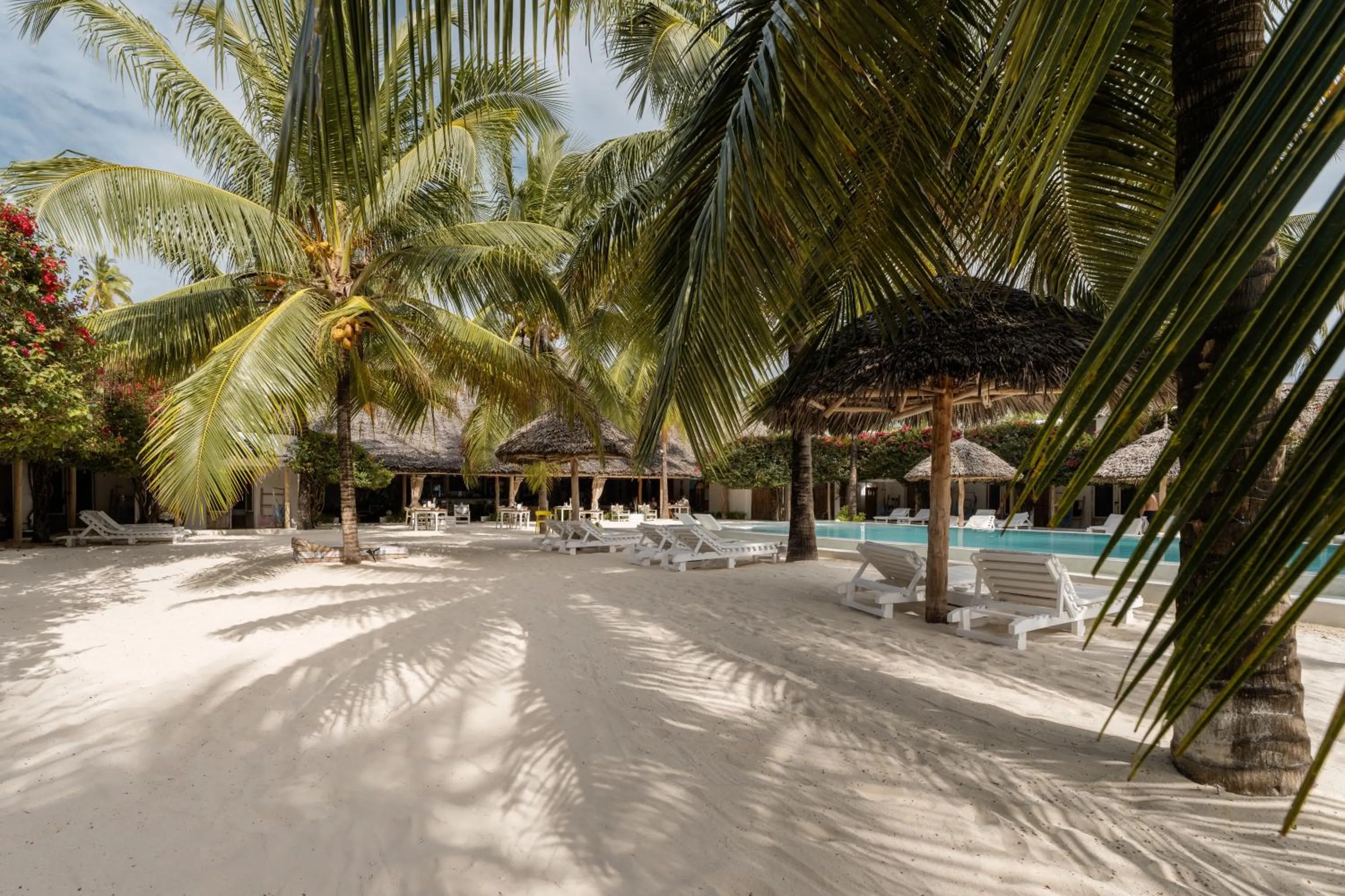 Day in The Loop Beach Resort