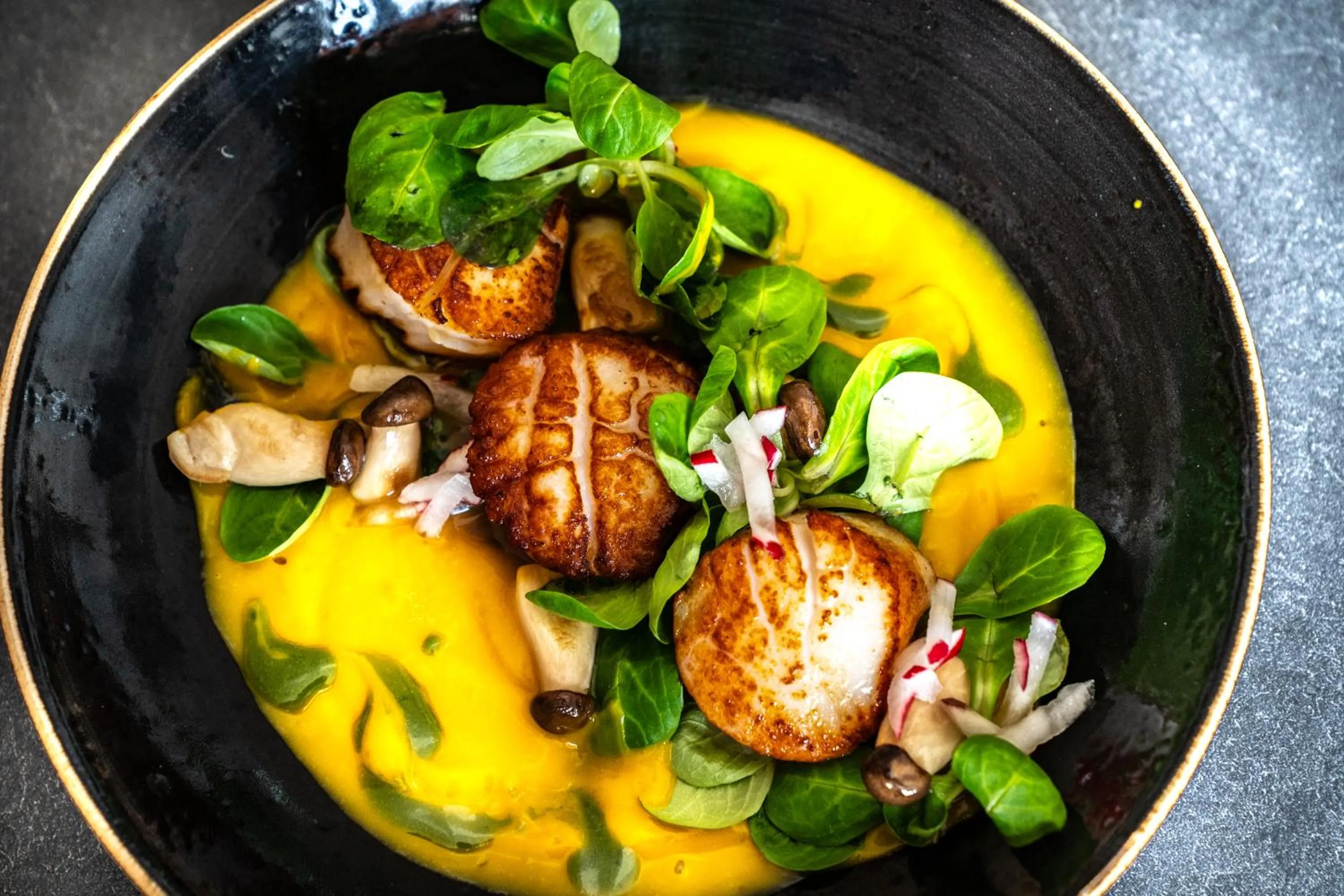 Restaurant/places to eat in Bodensee-Hotel Sonnenhof