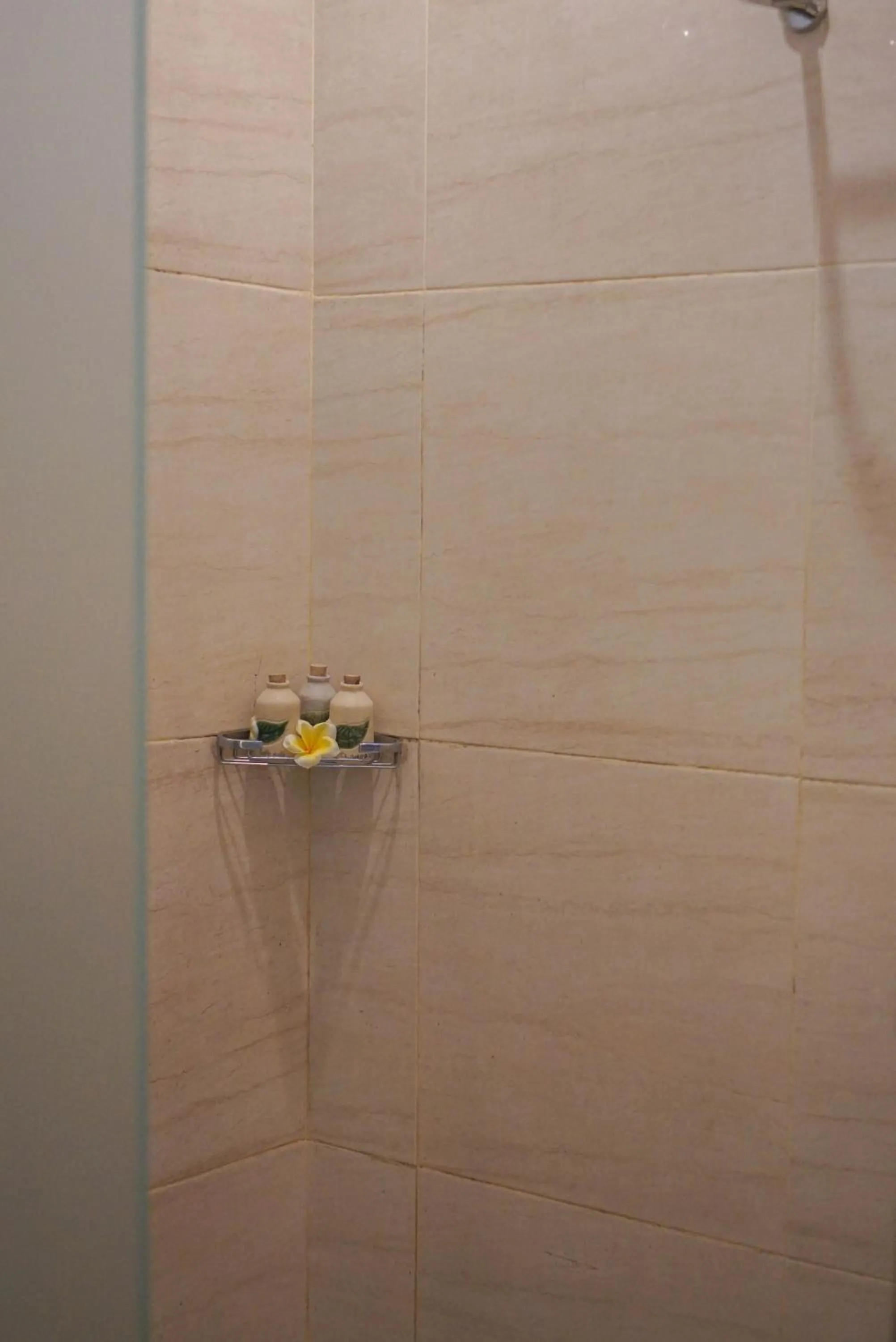 Shower in Ubud Aura Retreat