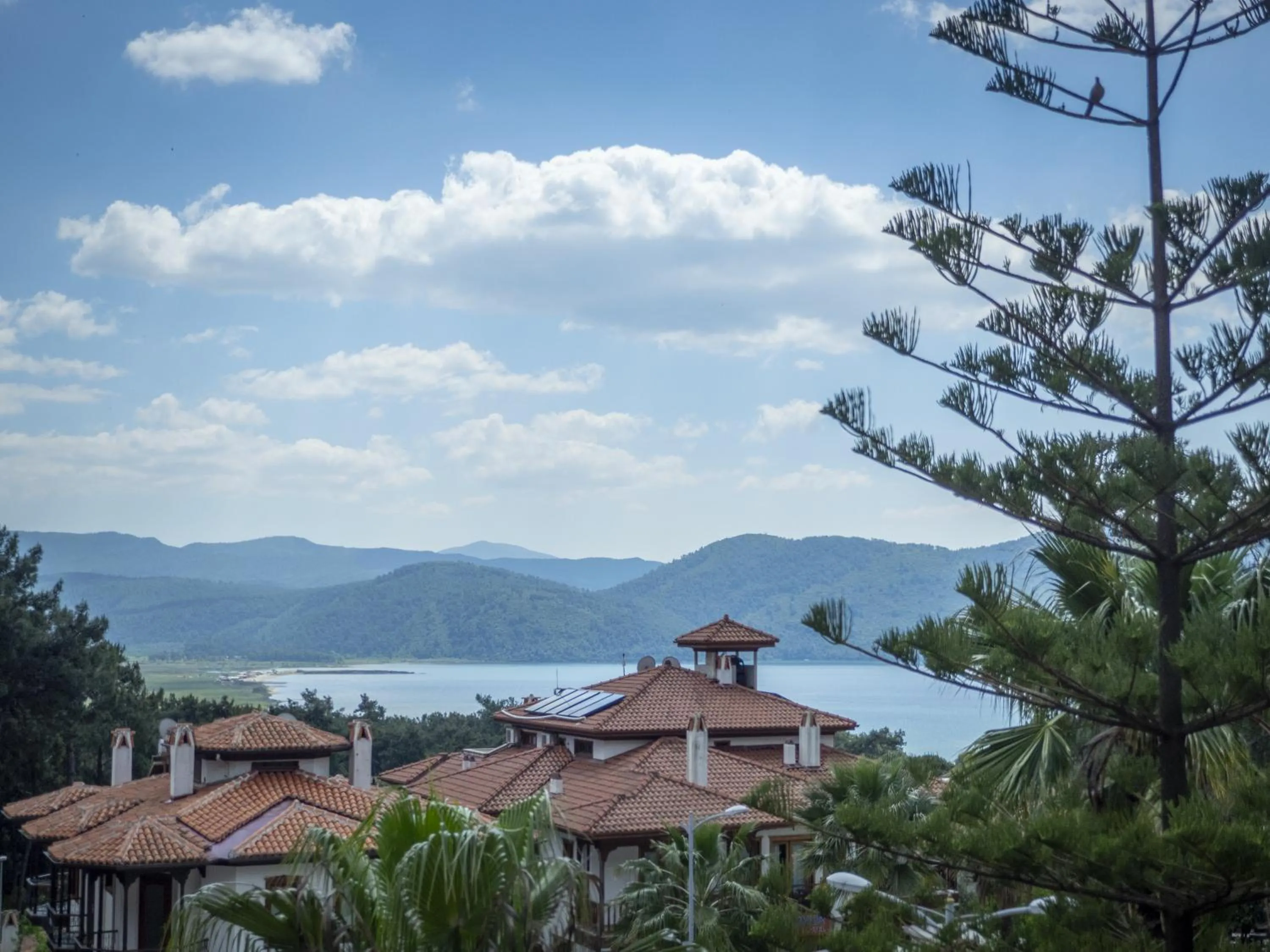 Balcony/Terrace in XOX Apart Hotel