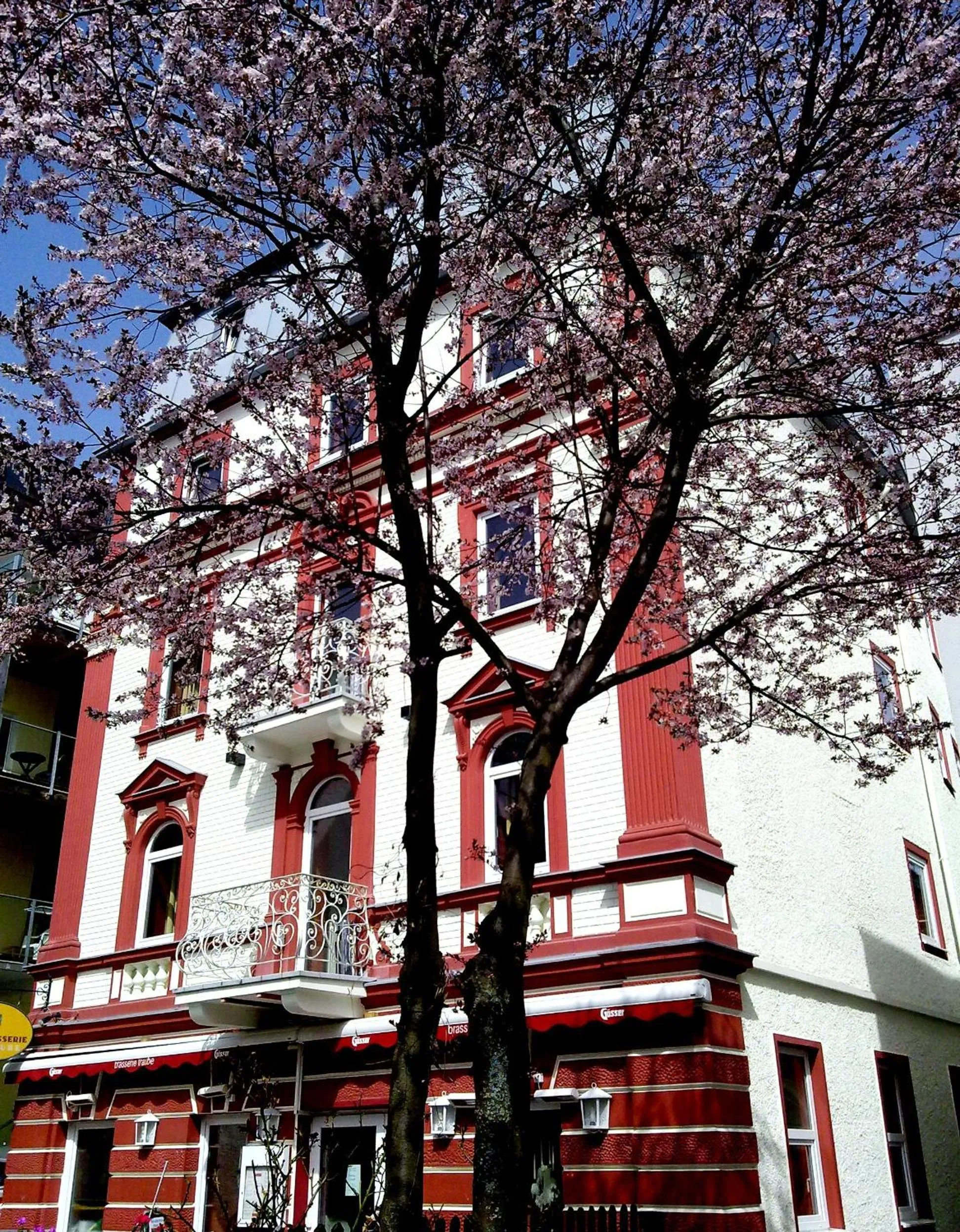 Property building in Hotel Traube