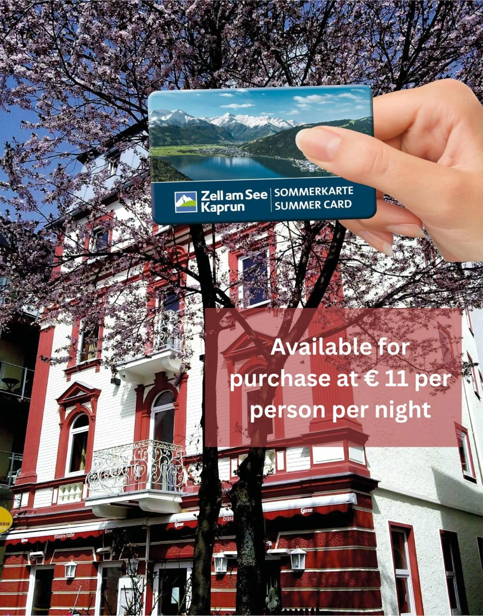 Property building in Hotel Traube