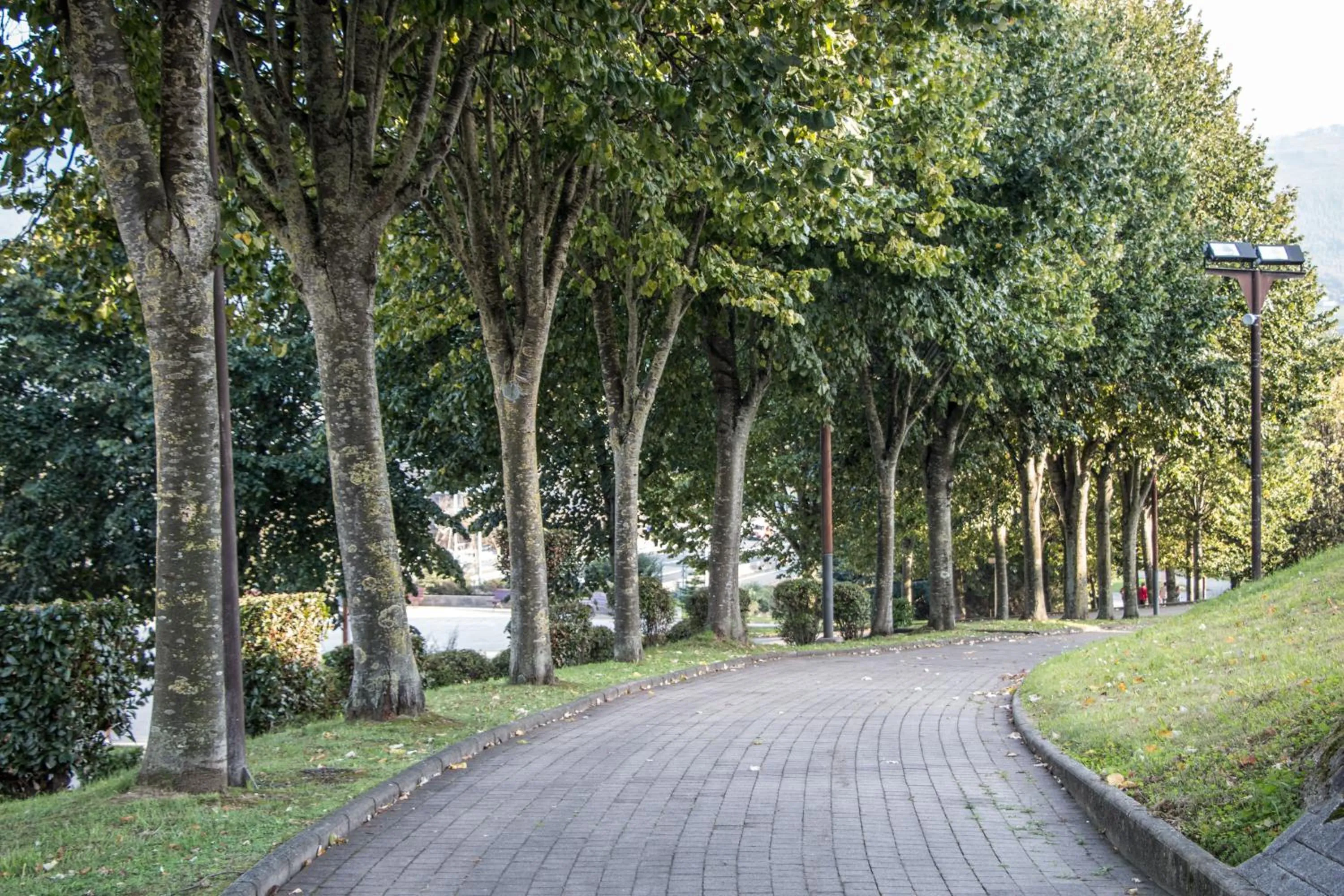 Natural landscape in Hotel Las Anclas