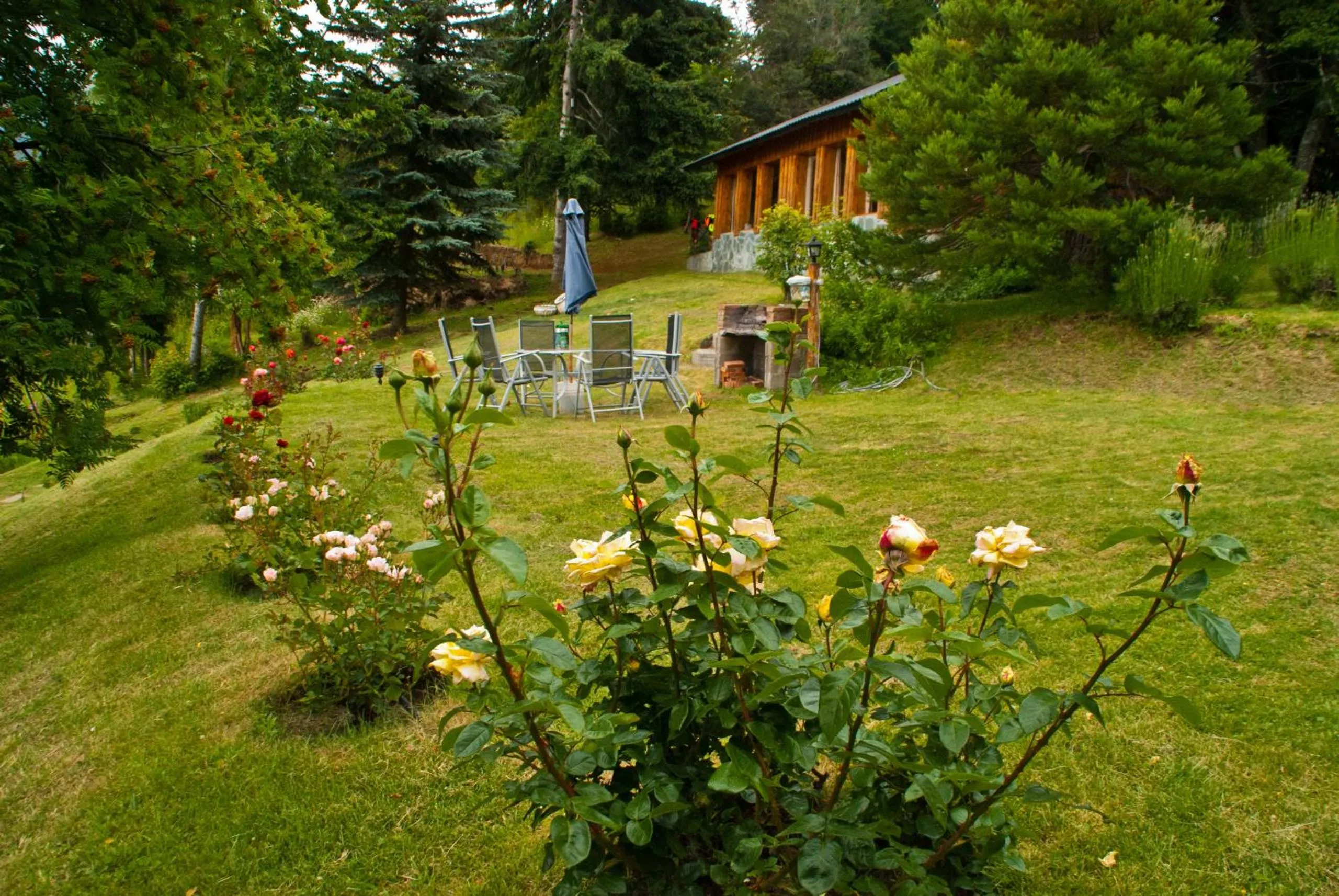 Garden in Cabañas Villa Pañil