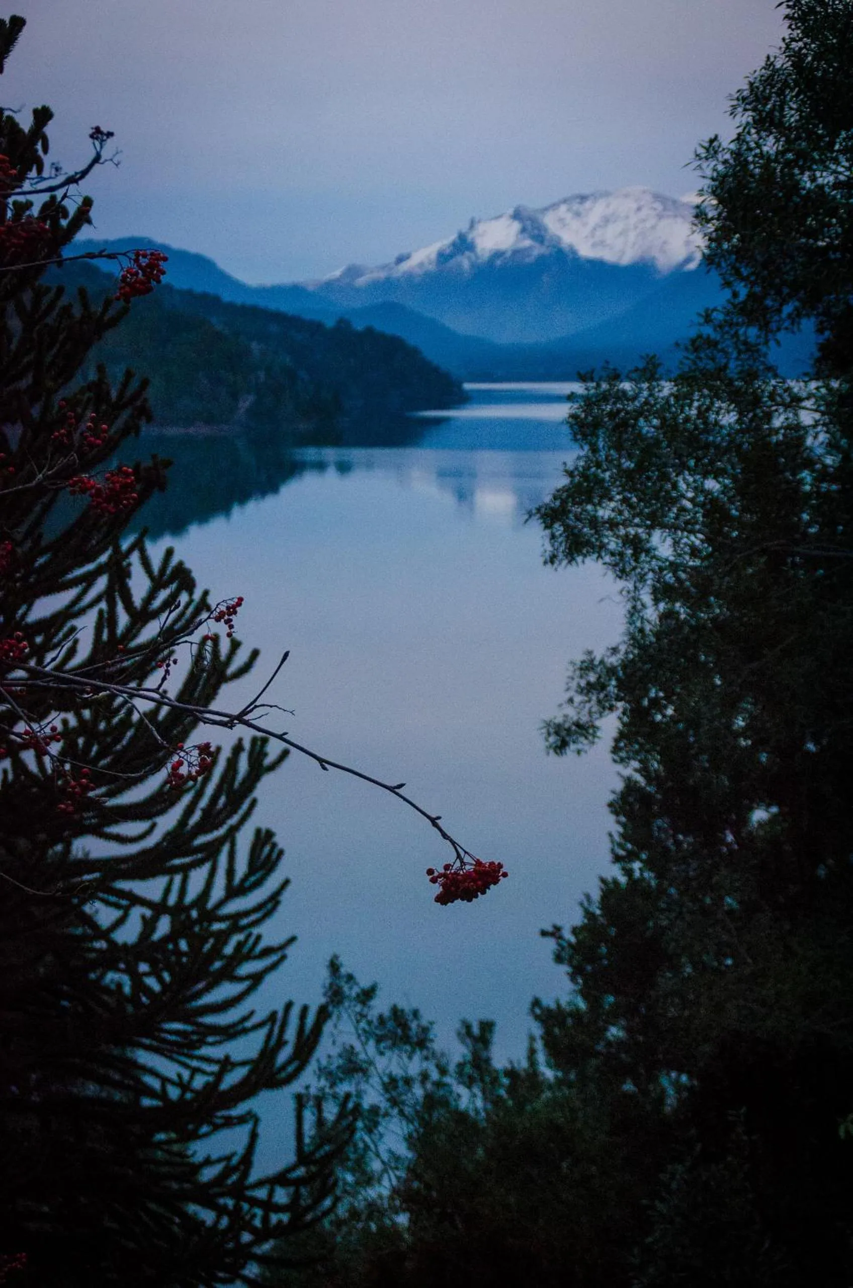 Other in Cabañas Villa Pañil