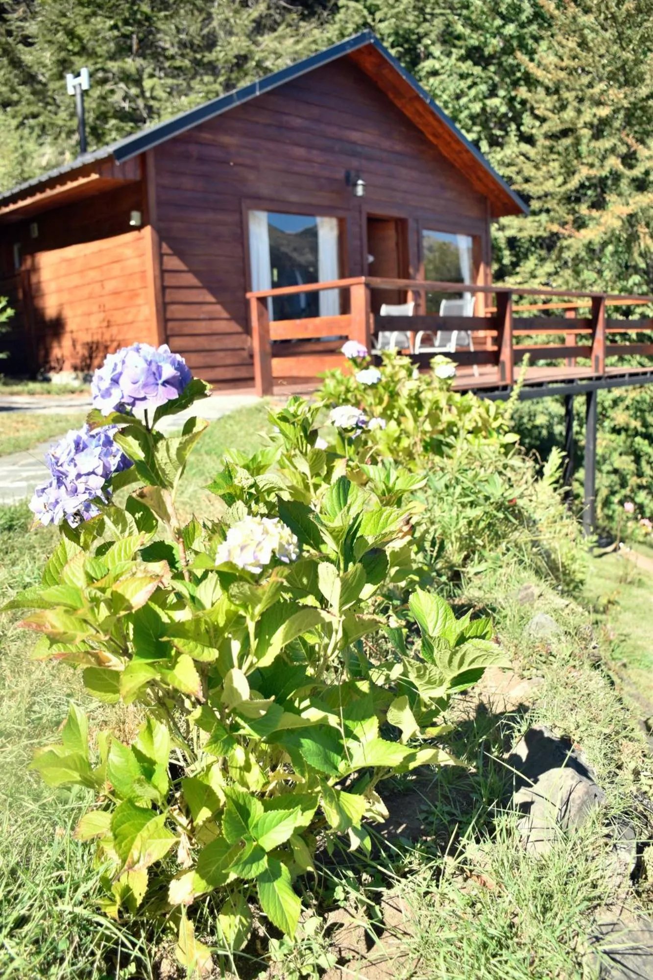 Photo of the whole room in Cabañas Villa Pañil