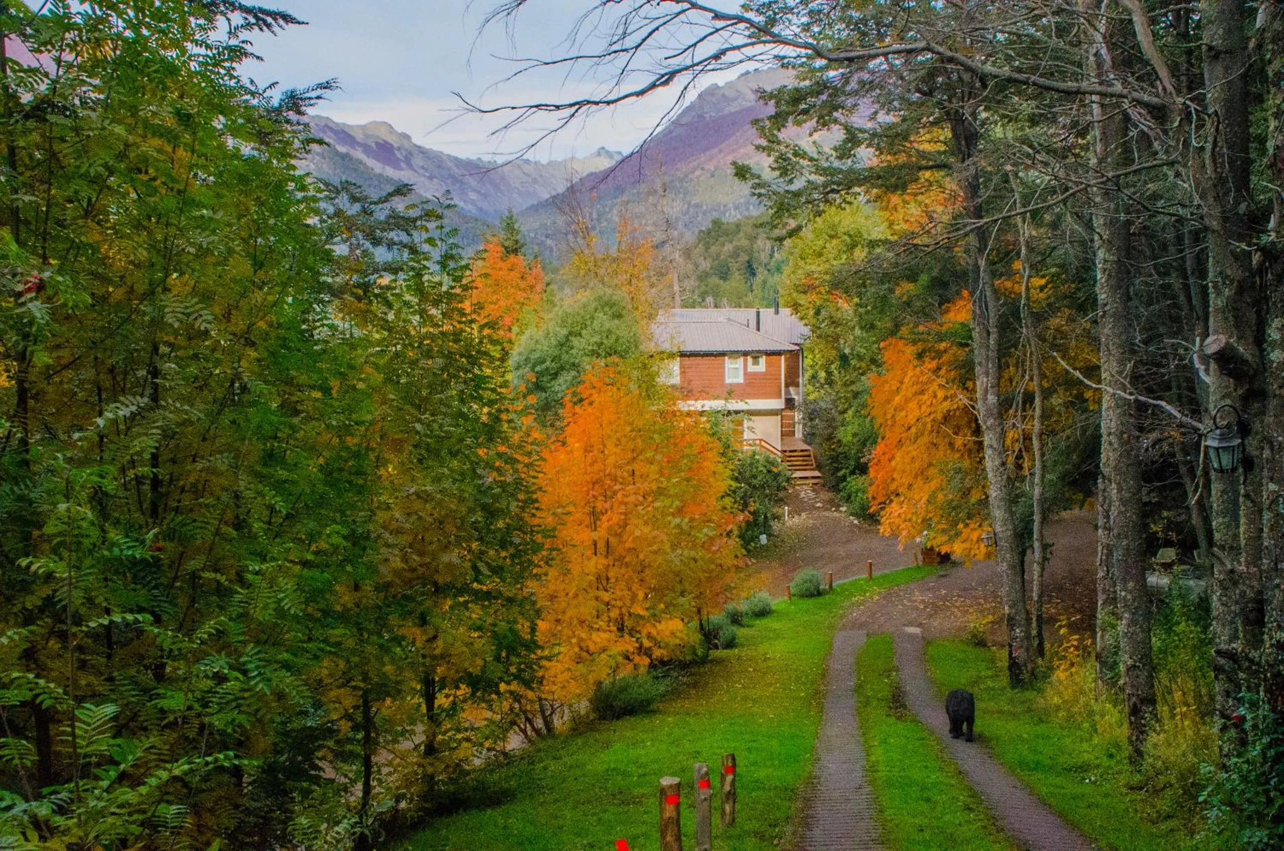 Other in Cabañas Villa Pañil