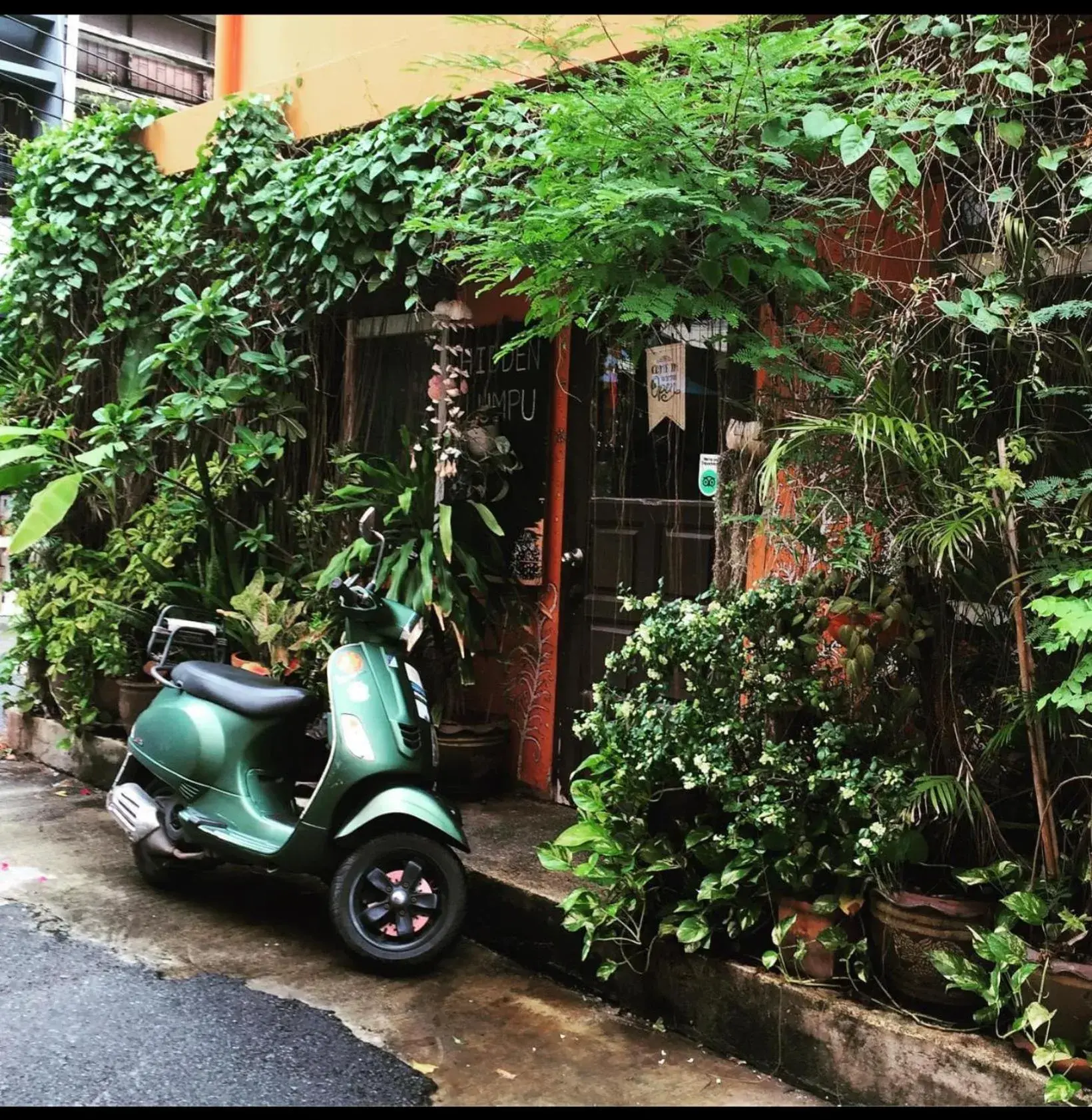 Hidden Lumpu Hidden Lumpu