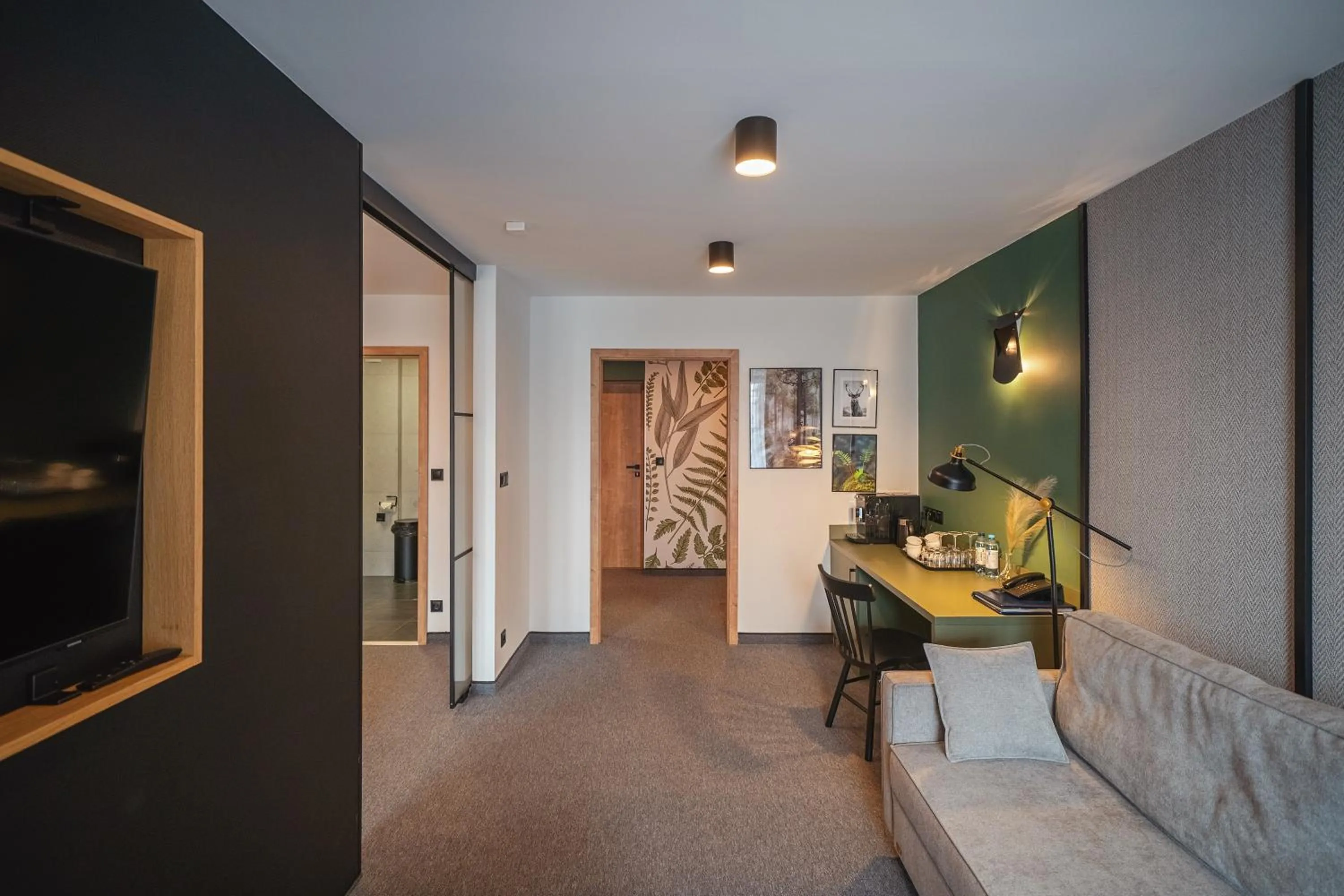 TV and multimedia in Kompleks Antałówka Termy & Med