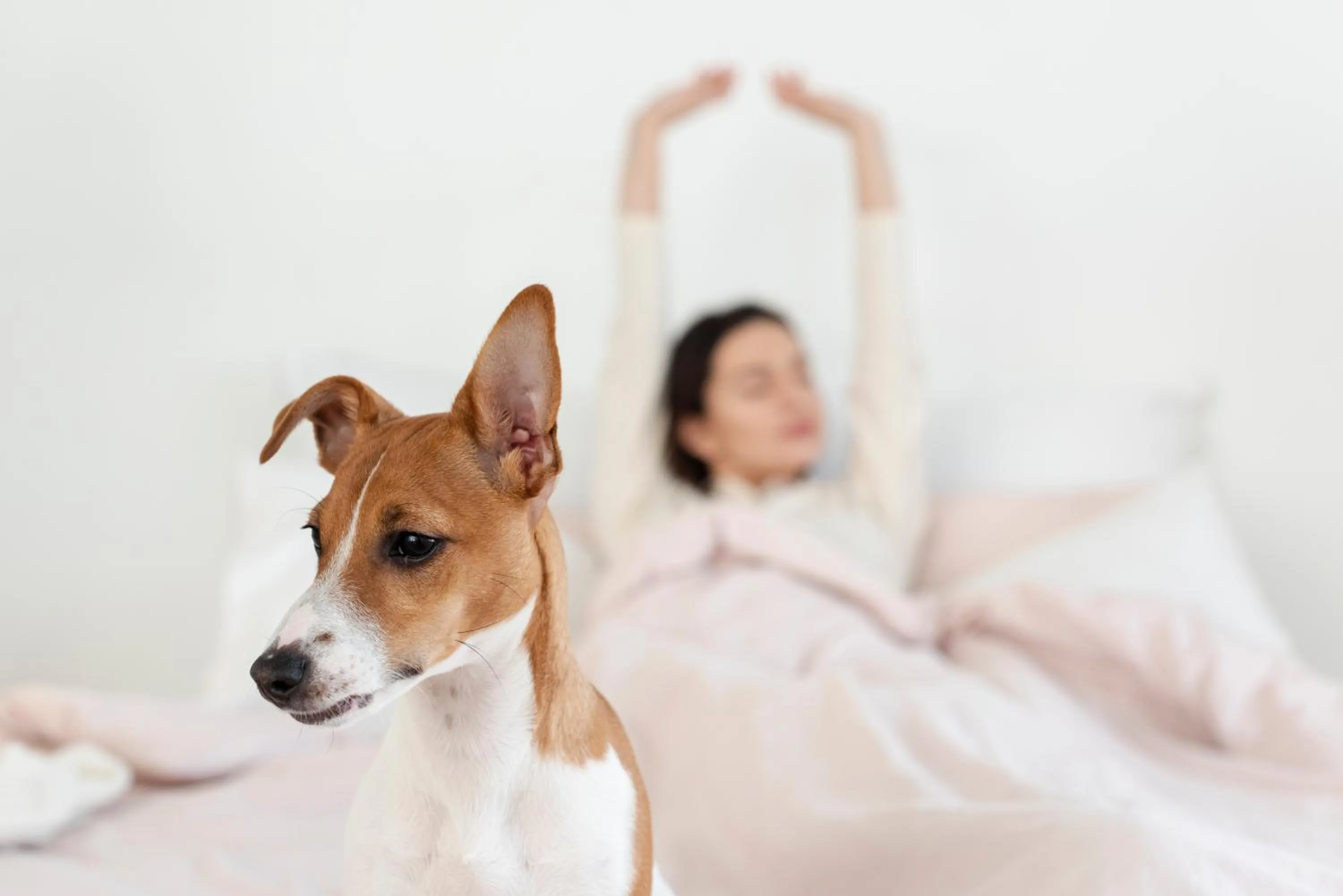 Bedroom in Novotel Santiago Las Condes