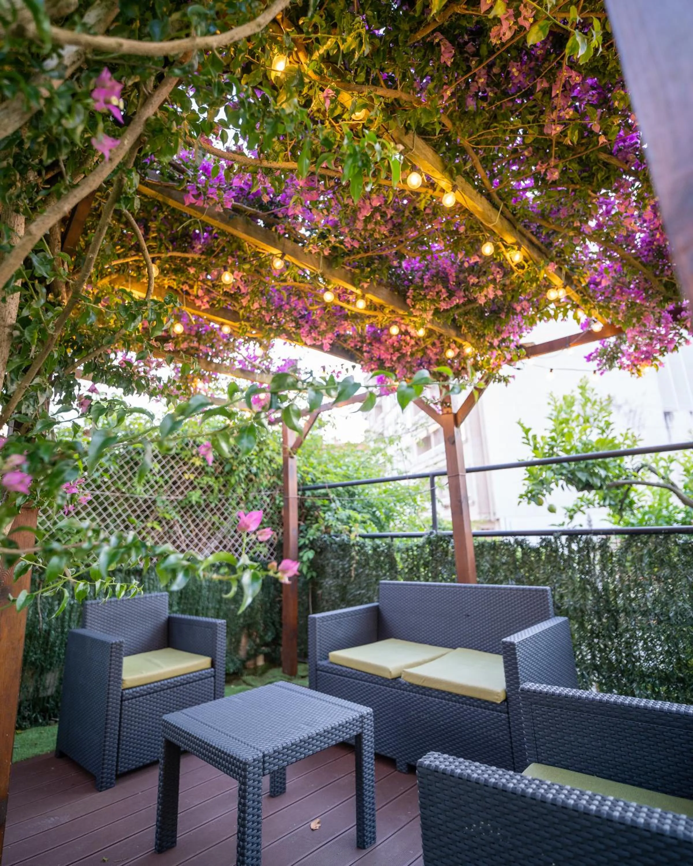 Garden in Hotel La Terraza
