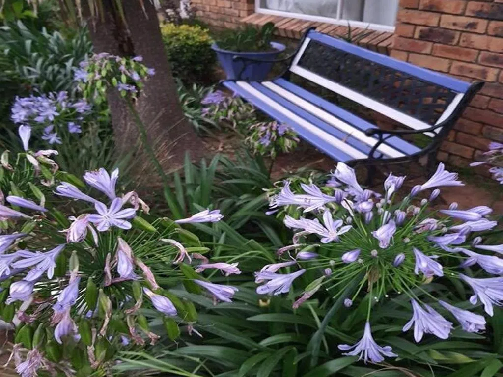 Garden in Gemsbok Cottage