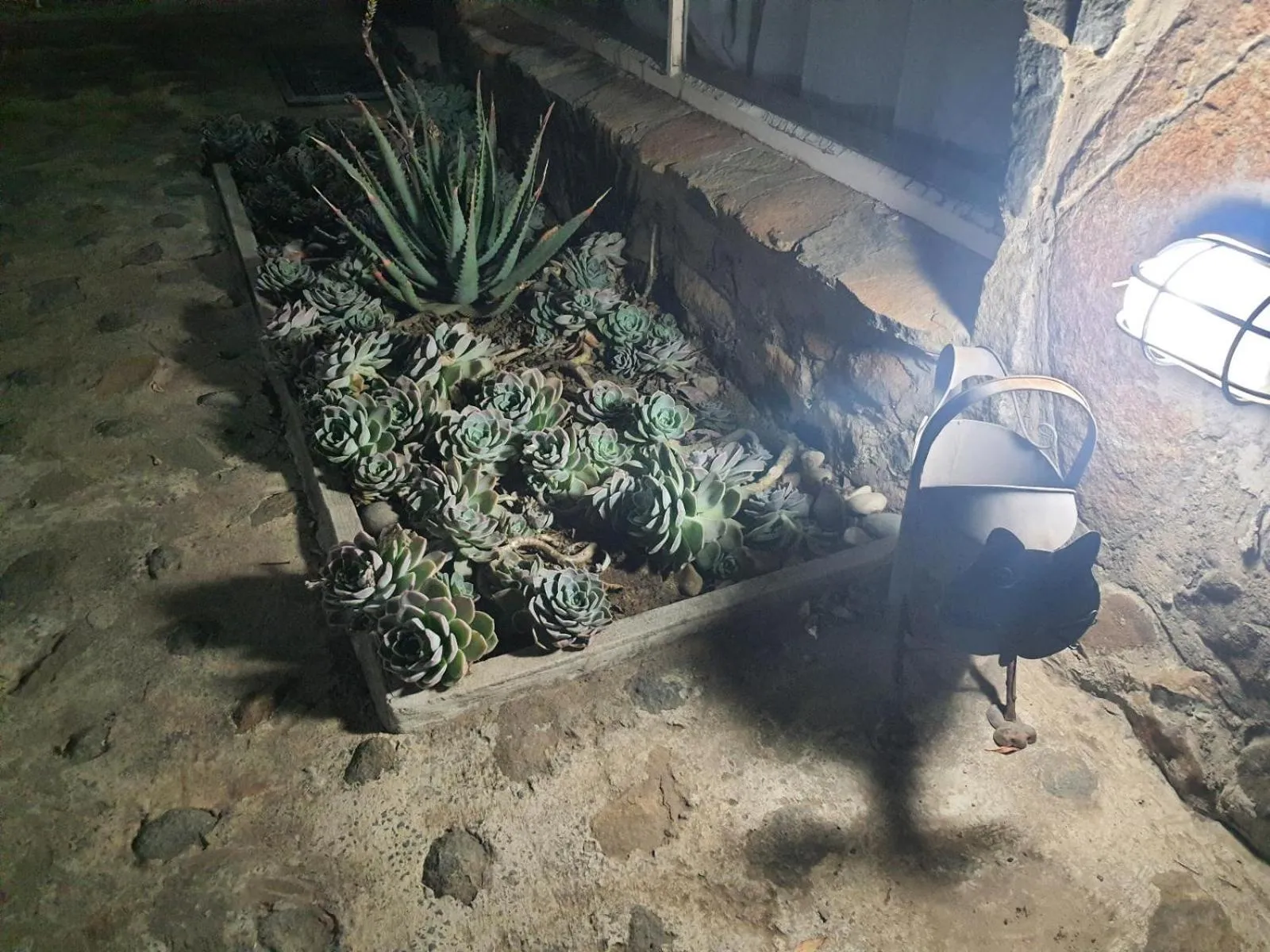 Garden in Gemsbok Cottage